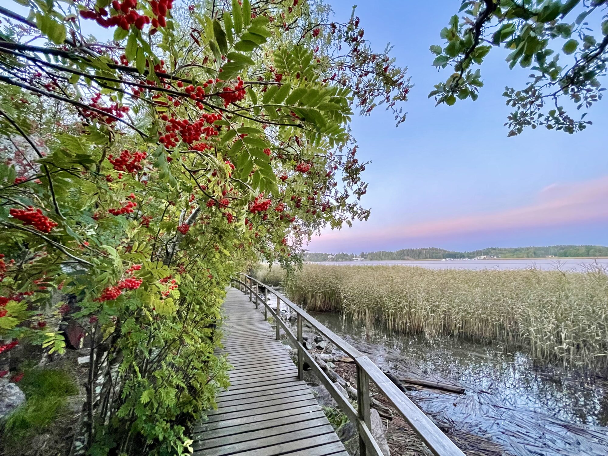 Valokuvaaja: Juhani Peltonen