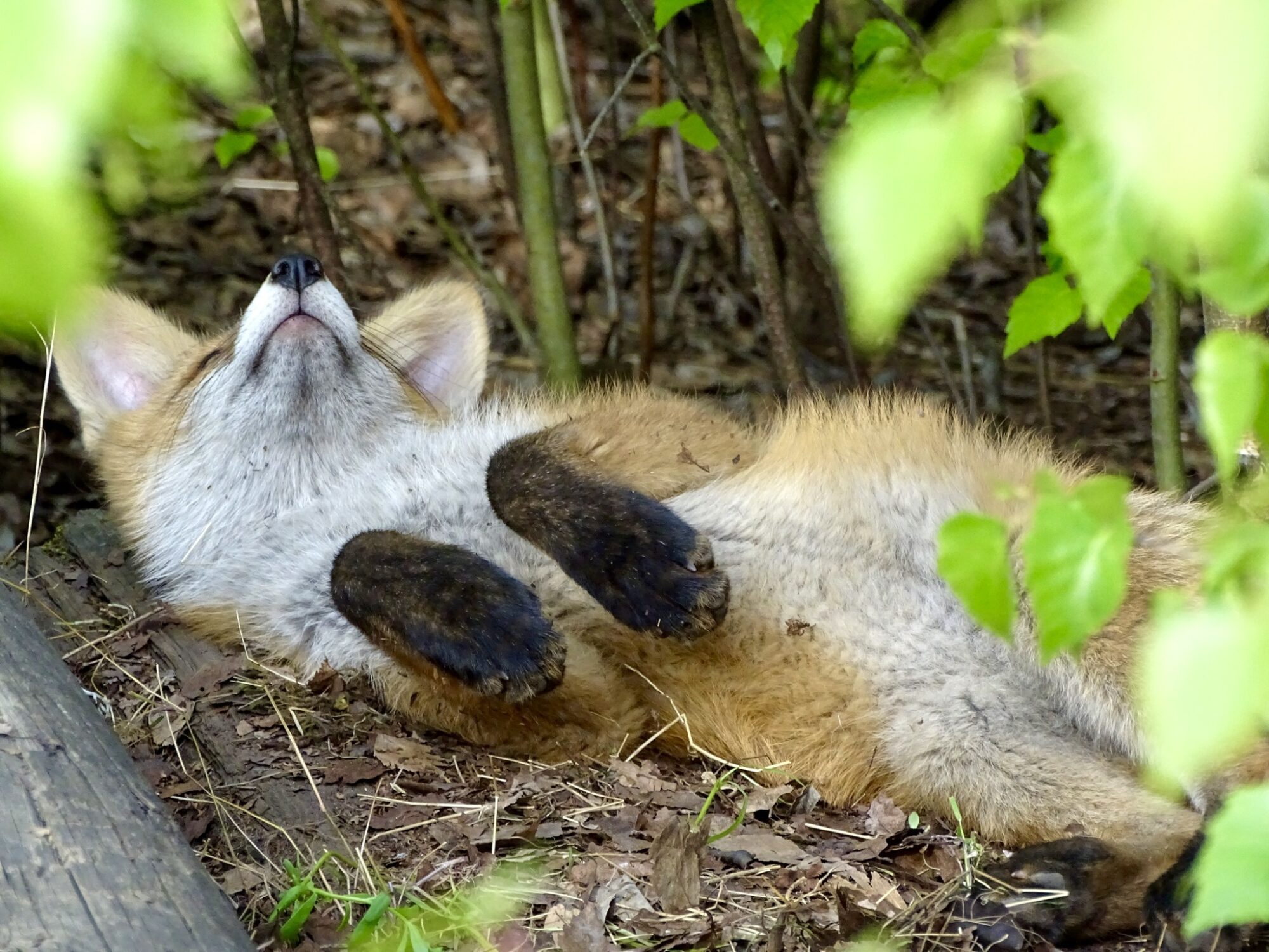 Valokuvaaja: Juhani Peltonen
