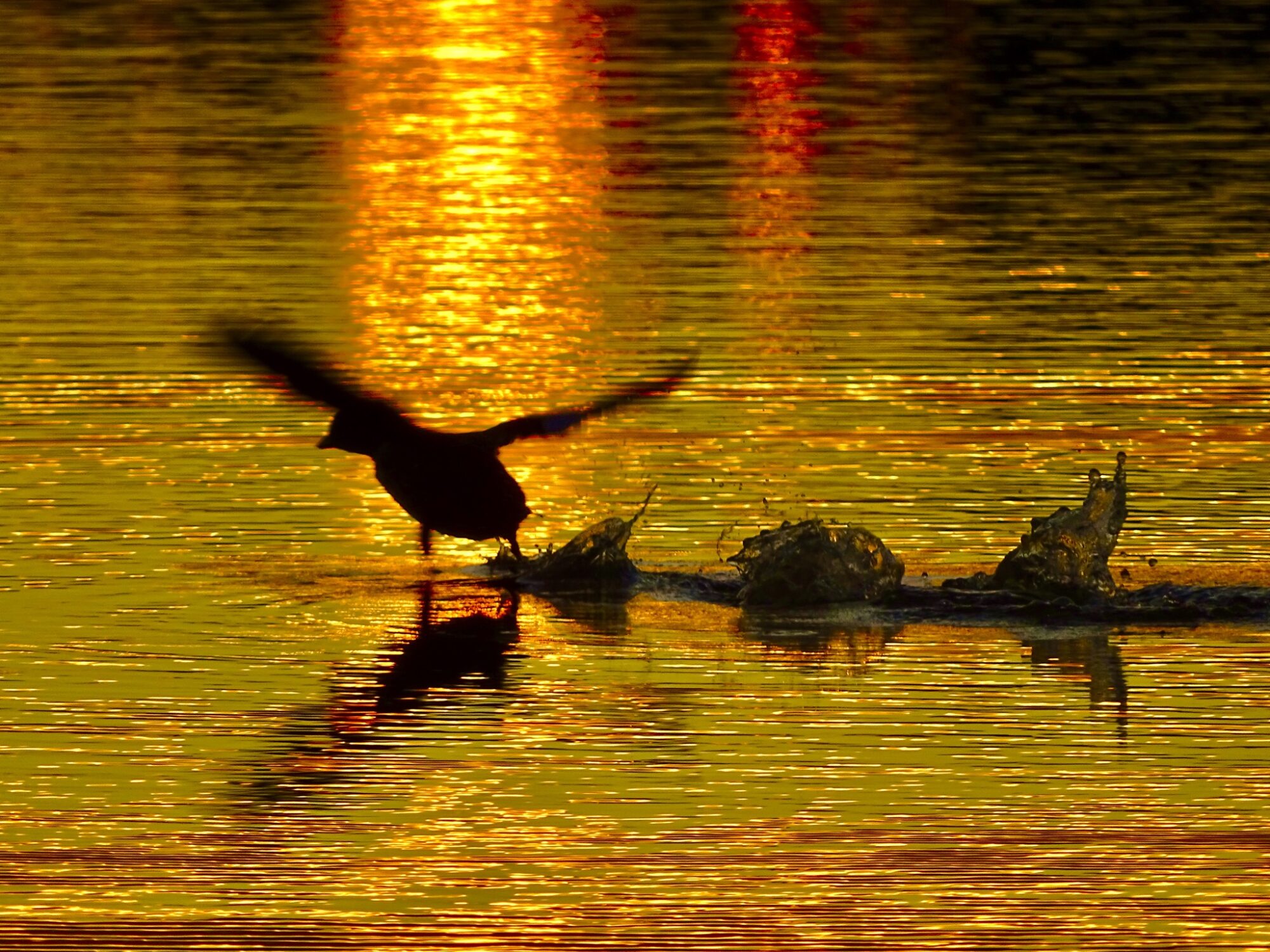 Valokuvaaja: Juhani Peltonen