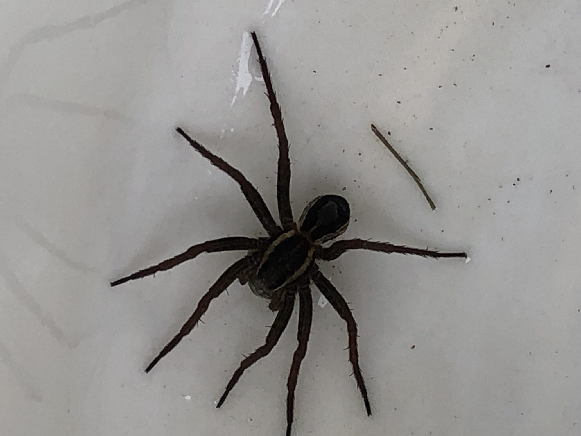 Valokuvaaja: Leena Koskinen