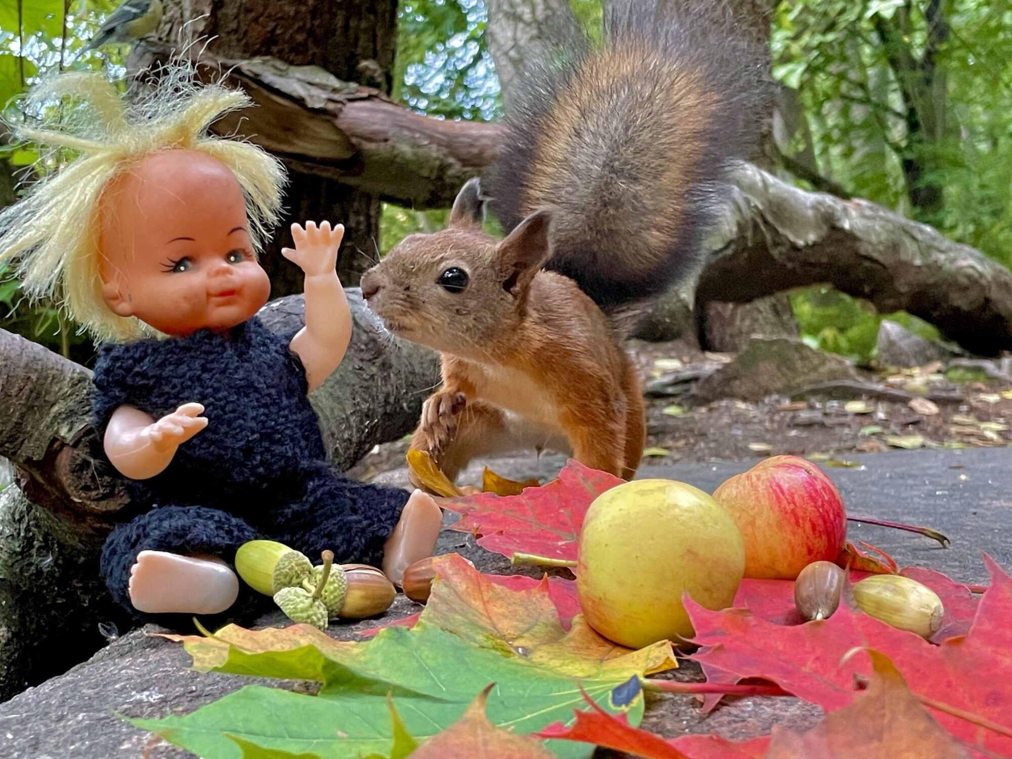 Valokuvaaja: Juhani Peltonen