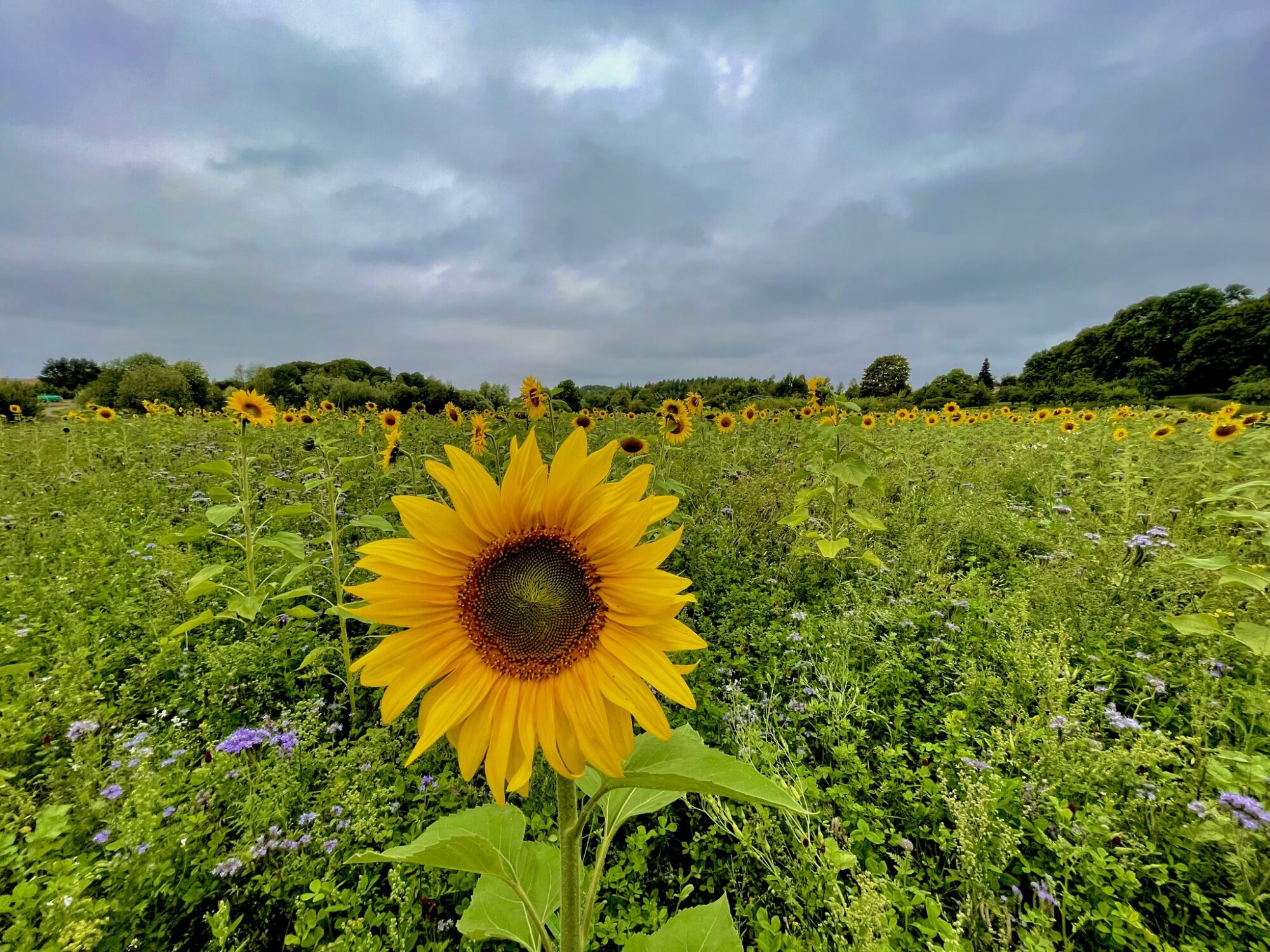 Valokuvaaja: Juhani Peltonen