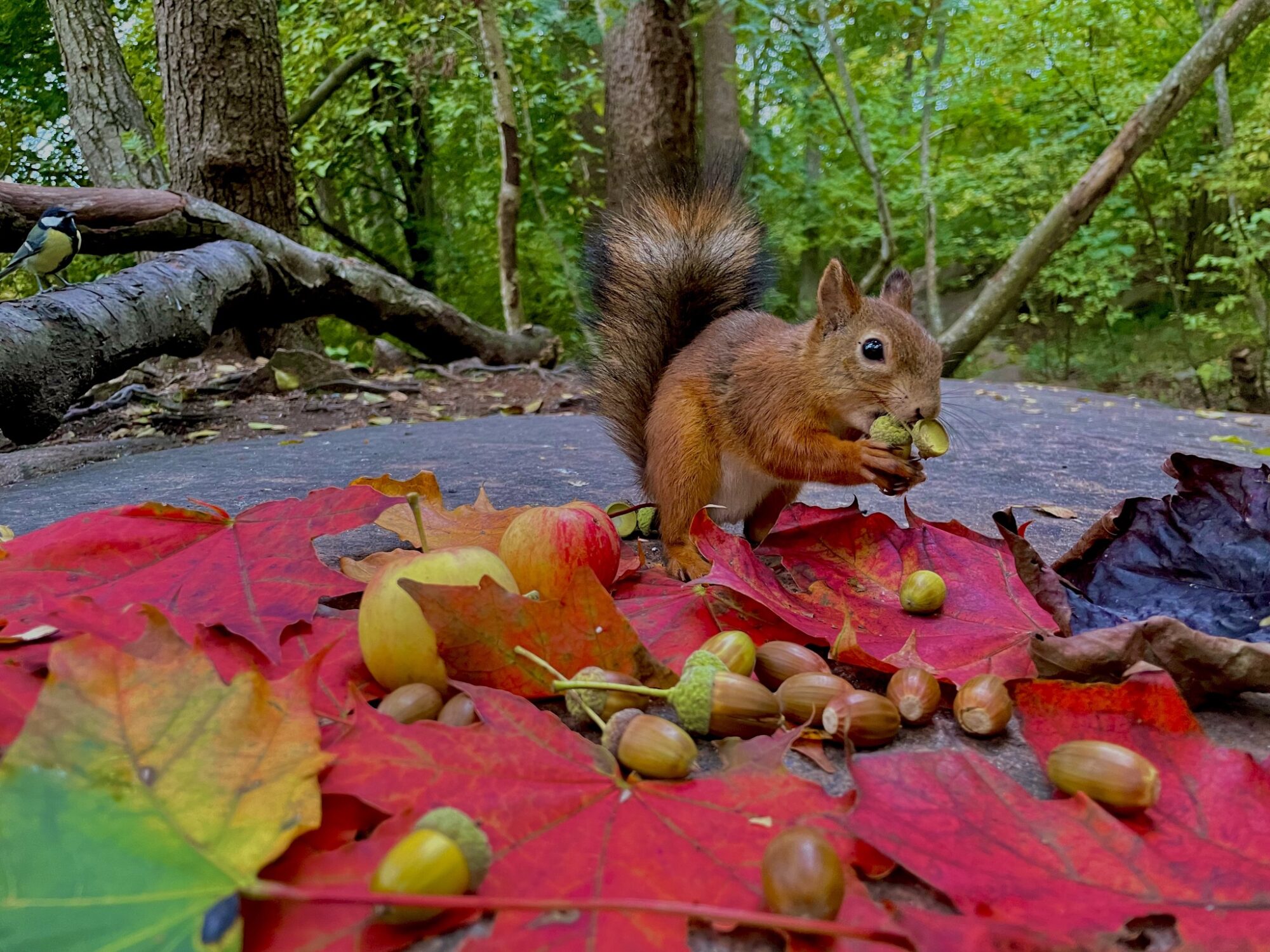 Valokuvaaja: Juhani Peltonen