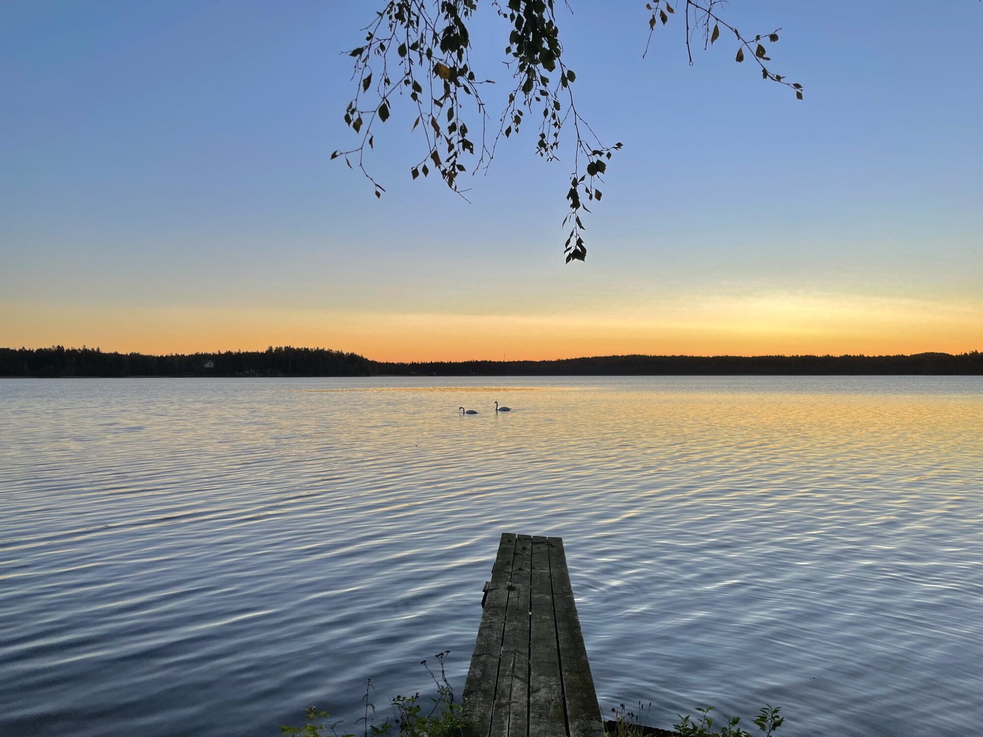 Valokuvaaja: Juhani Peltonen