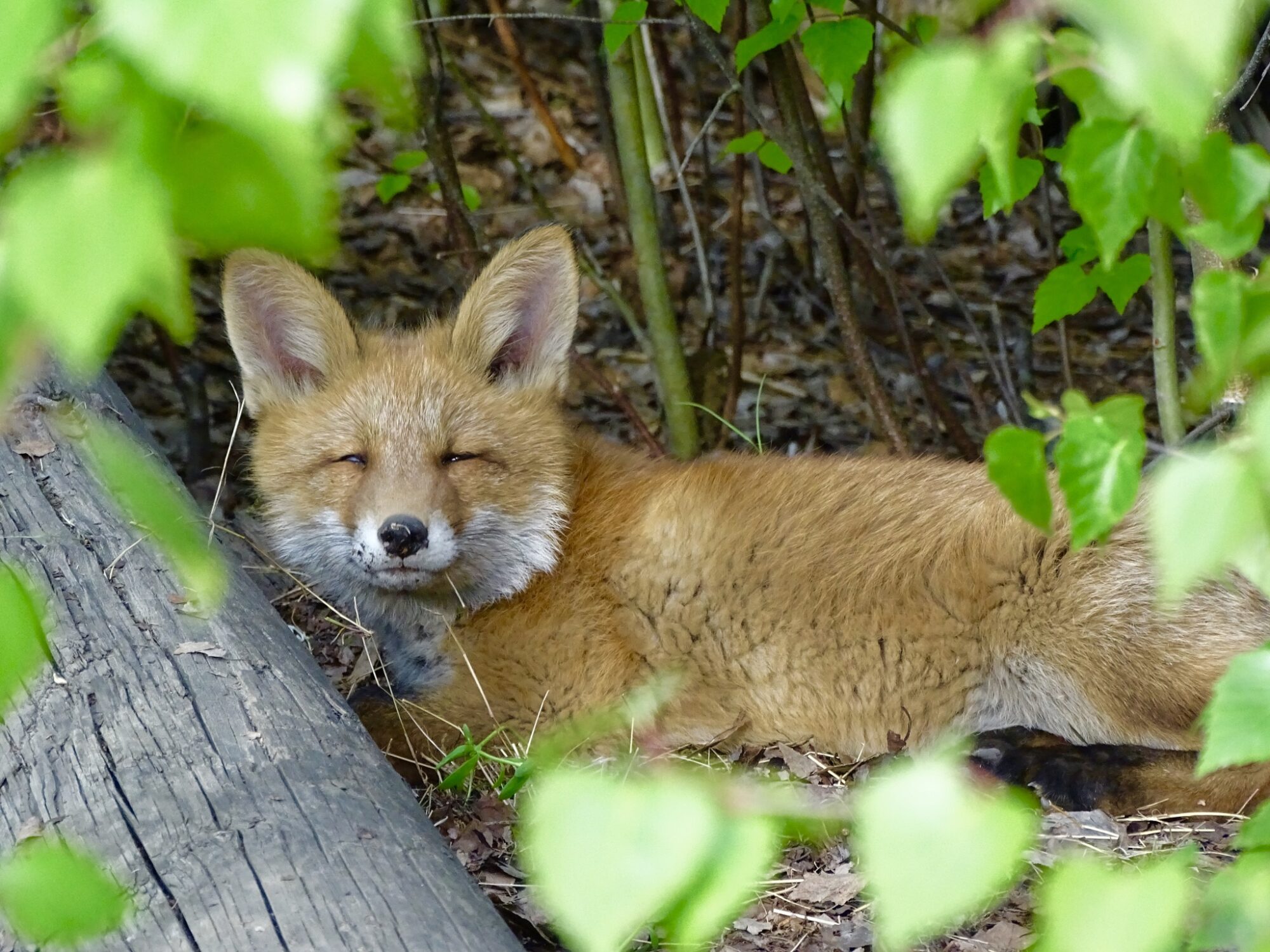 Valokuvaaja: Juhani Peltonen