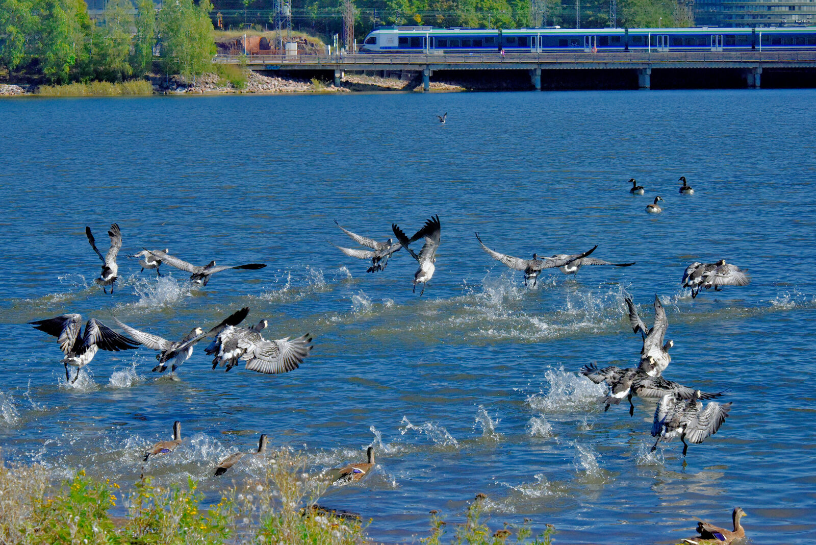 Valokuvaaja: Reijo Juurinen