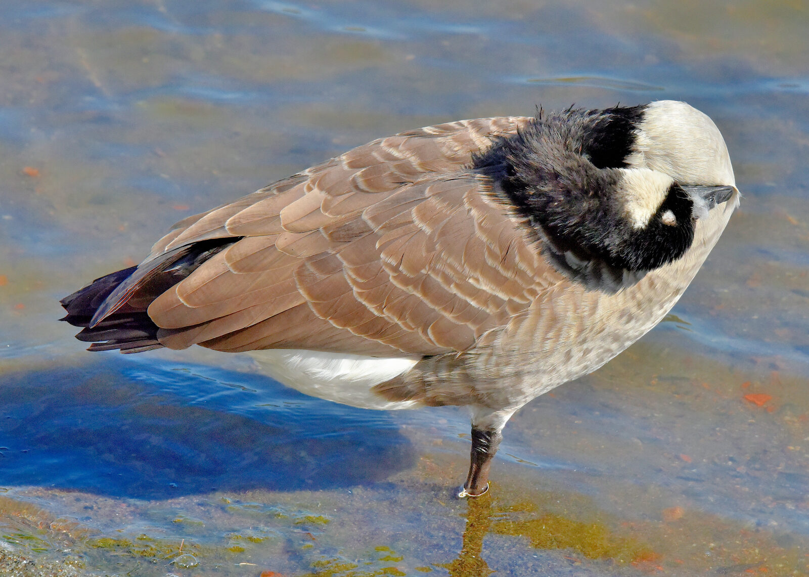 Valokuvaaja: Reijo Juurinen