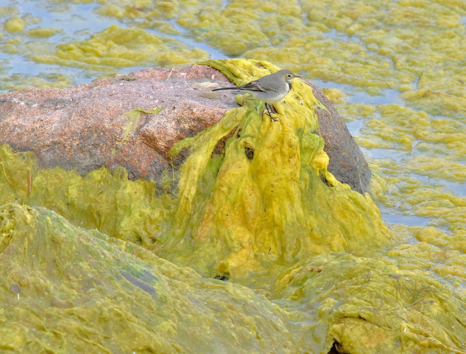 Valokuvaaja: Reijo Juurinen