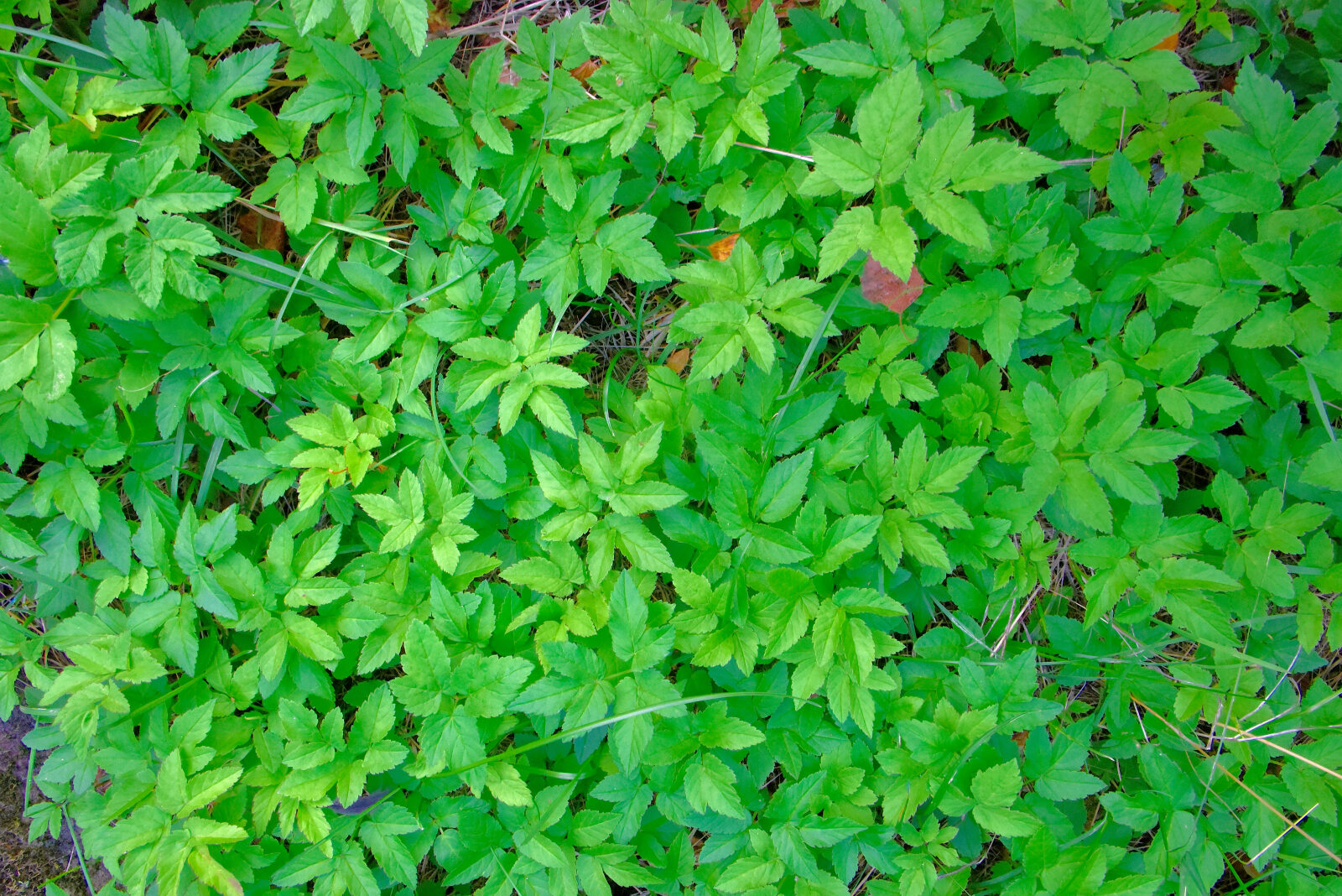 Valokuvaaja: Reijo Juurinen