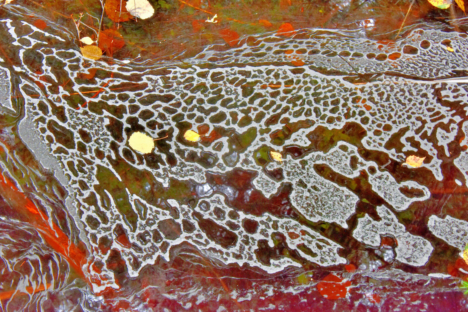 Valokuvaaja: Reijo Juurinen