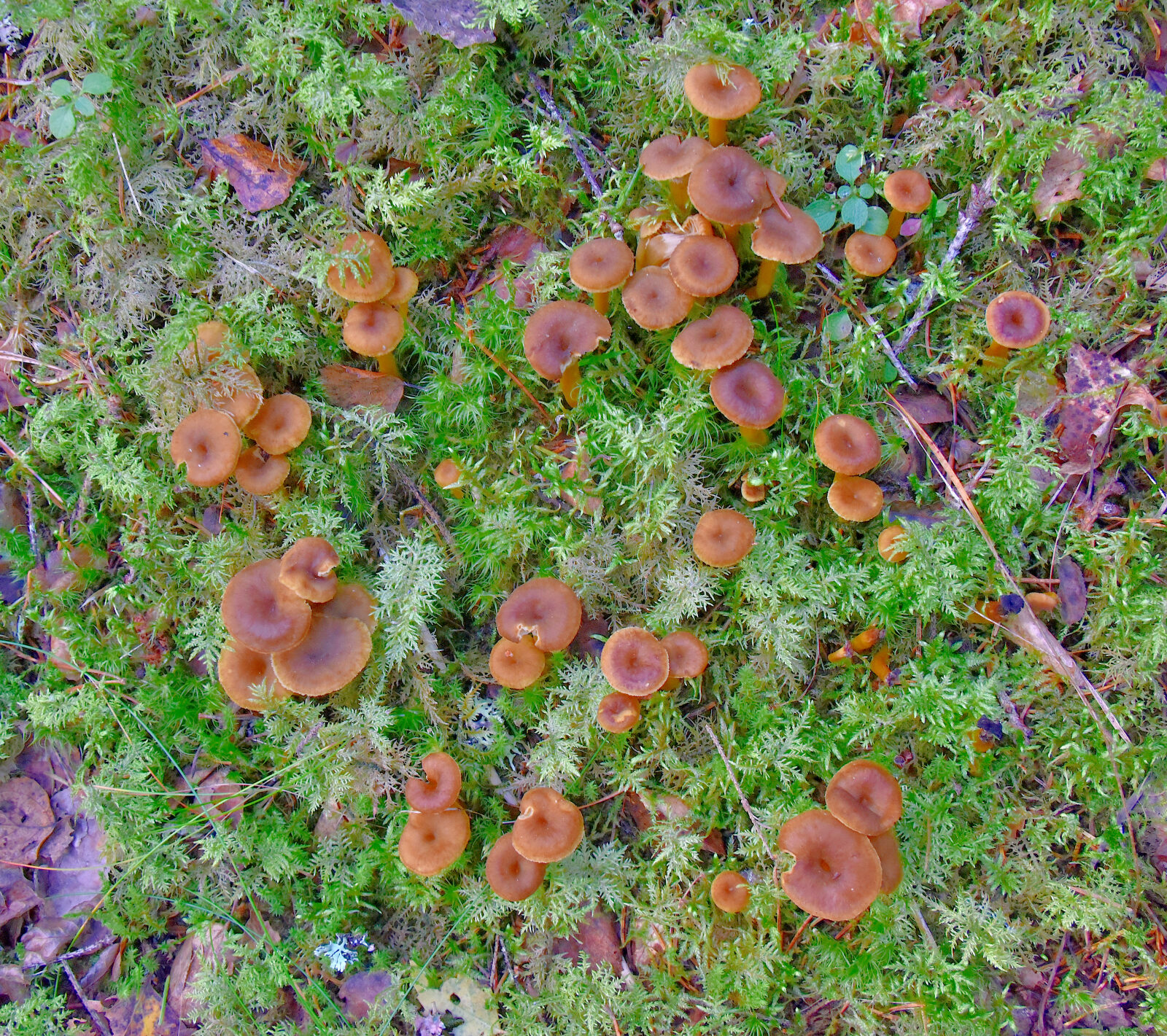 Valokuvaaja: Reijo Juurinen