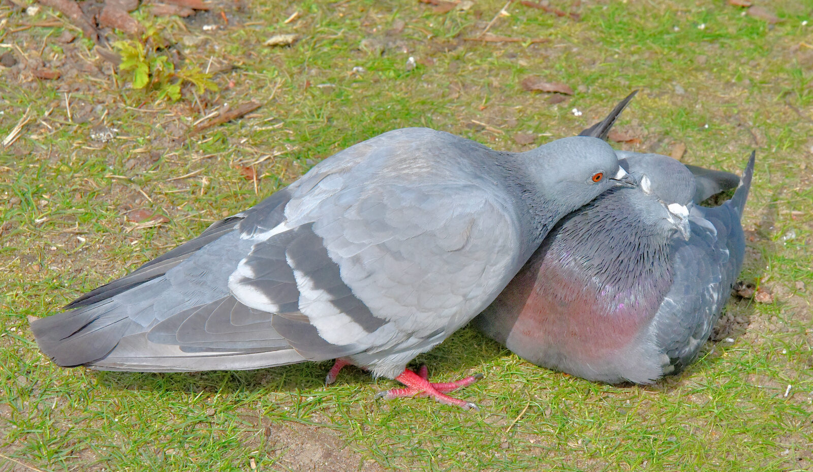 Valokuvaaja: Reijo Juurinen