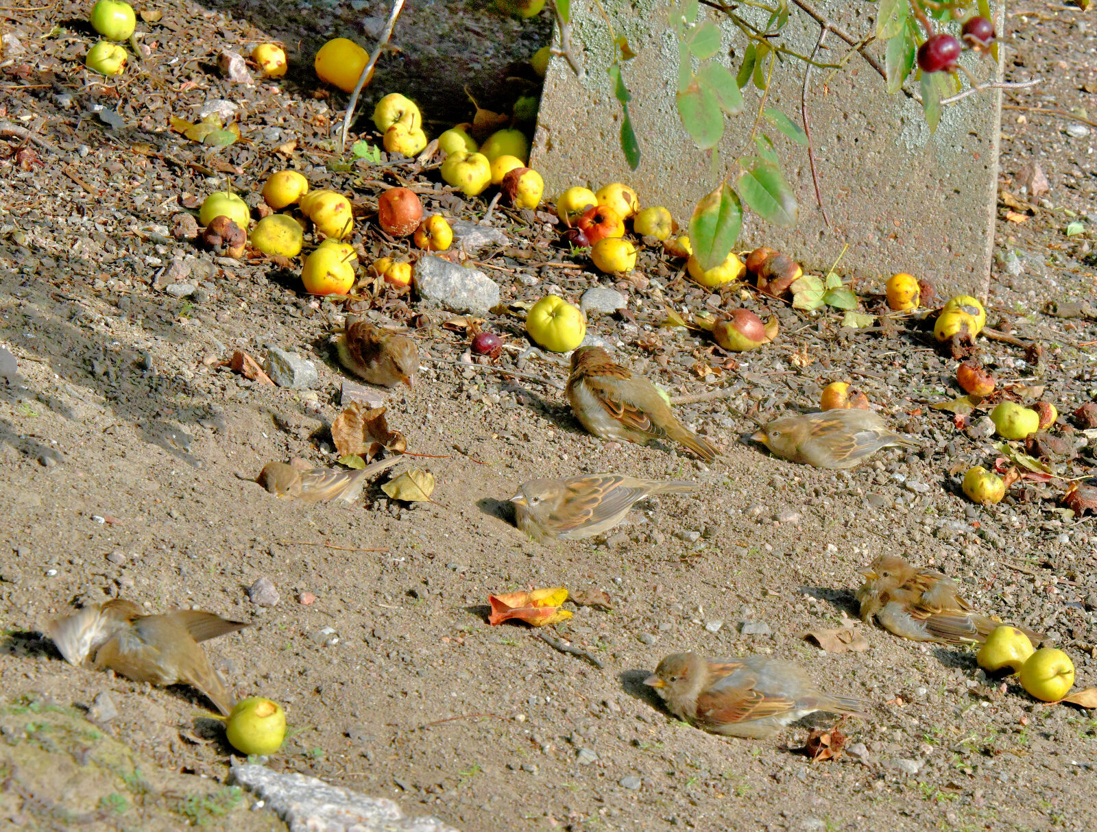 Valokuvaaja: Reijo Juurinen