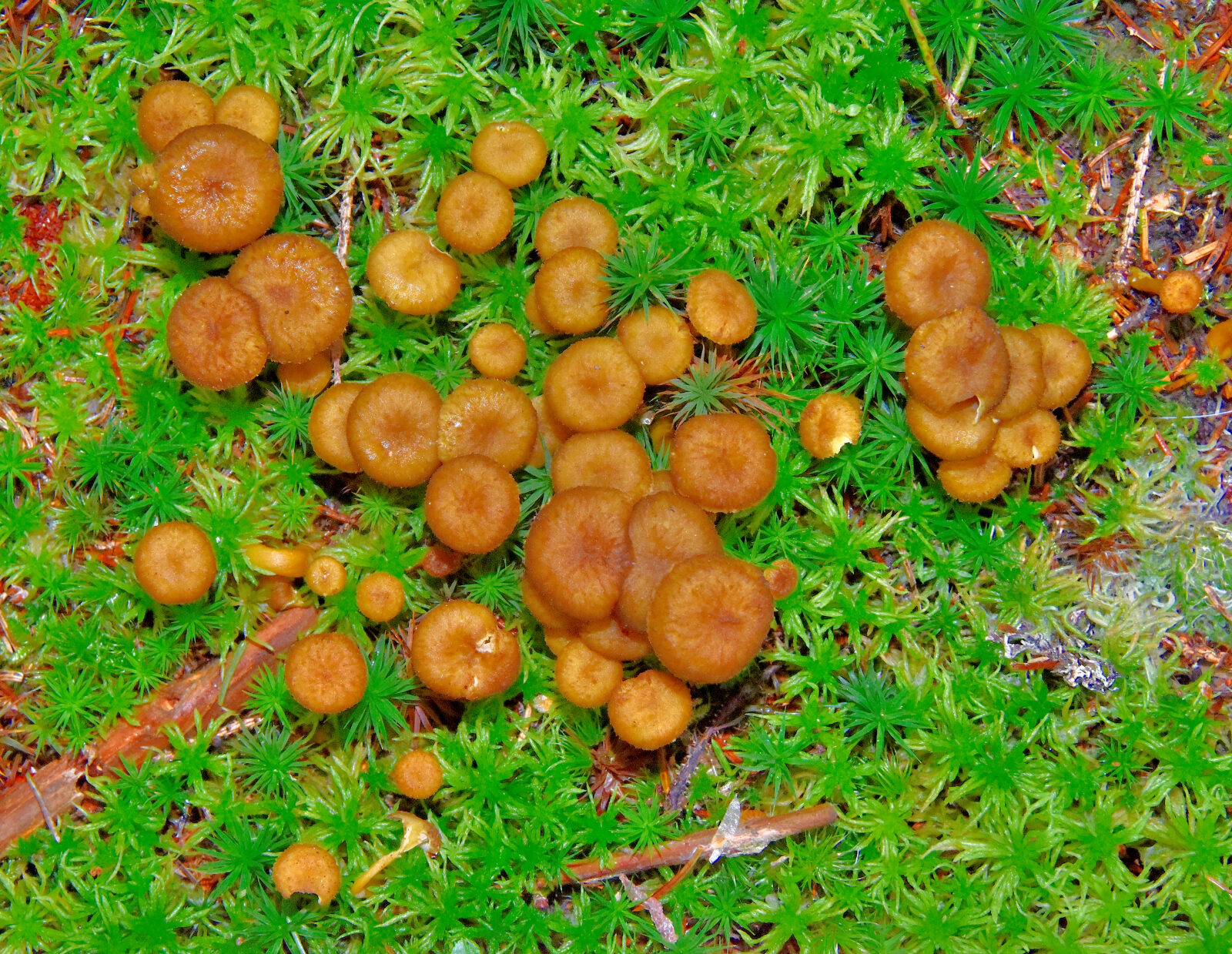 Valokuvaaja: Reijo Juurinen