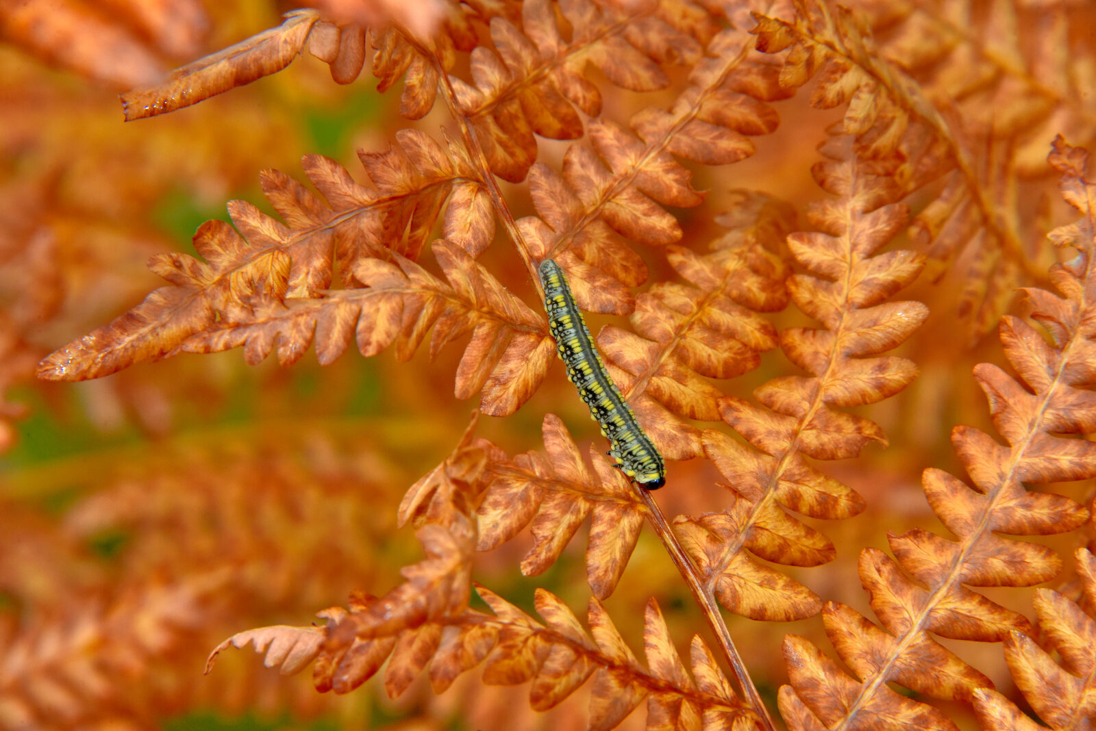 Valokuvaaja: Reijo Juurinen