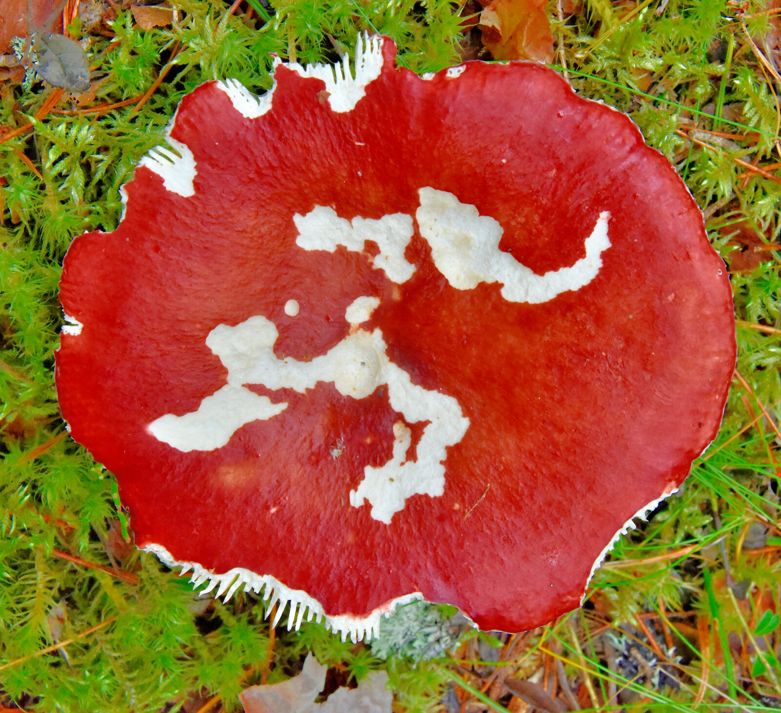 Valokuvaaja: Reijo Juurinen