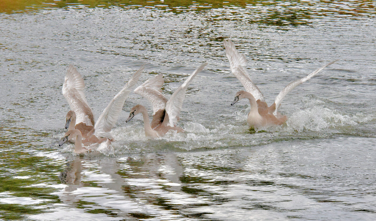Valokuvaaja: Reijo Juurinen