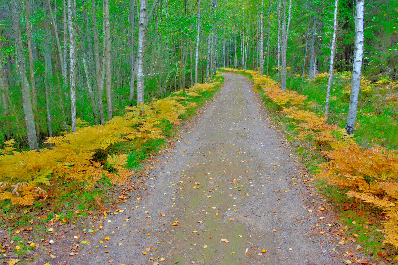 Valokuvaaja: Reijo Juurinen