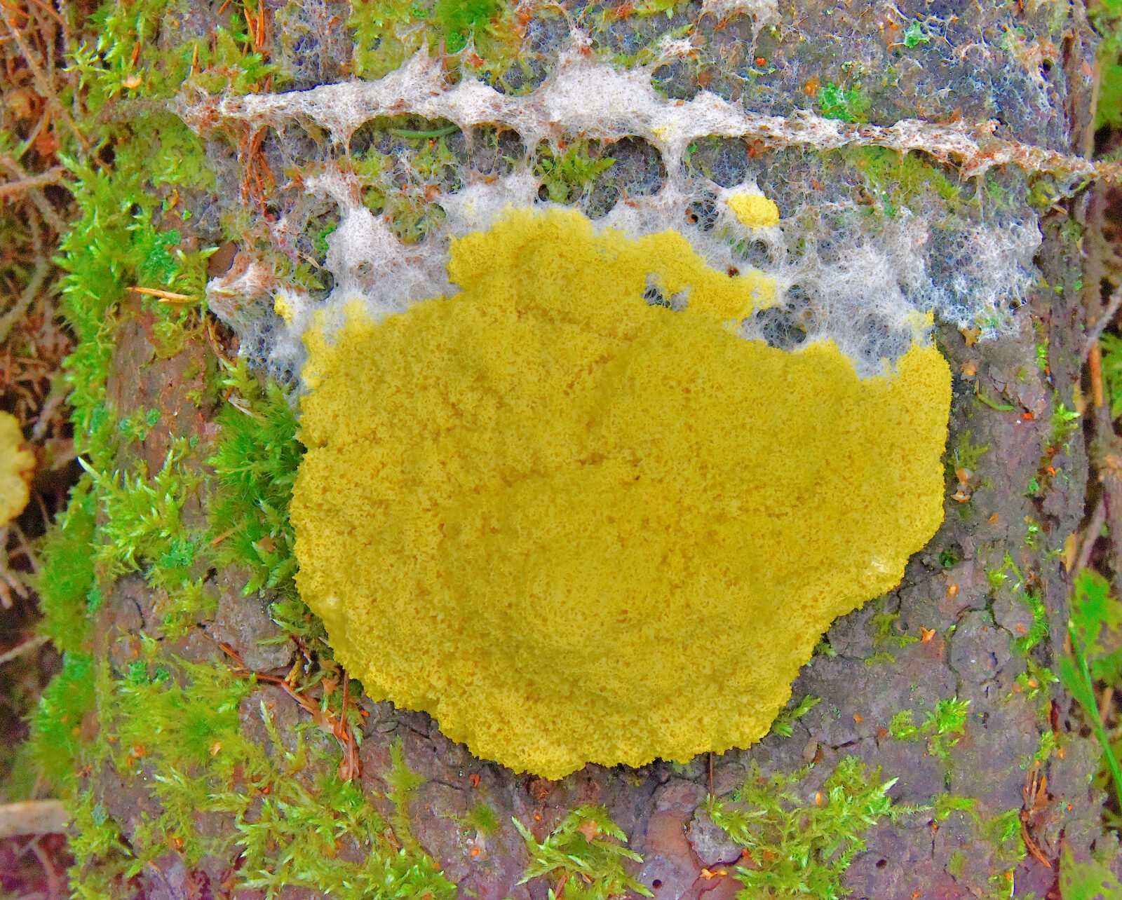 Valokuvaaja: Reijo Juurinen