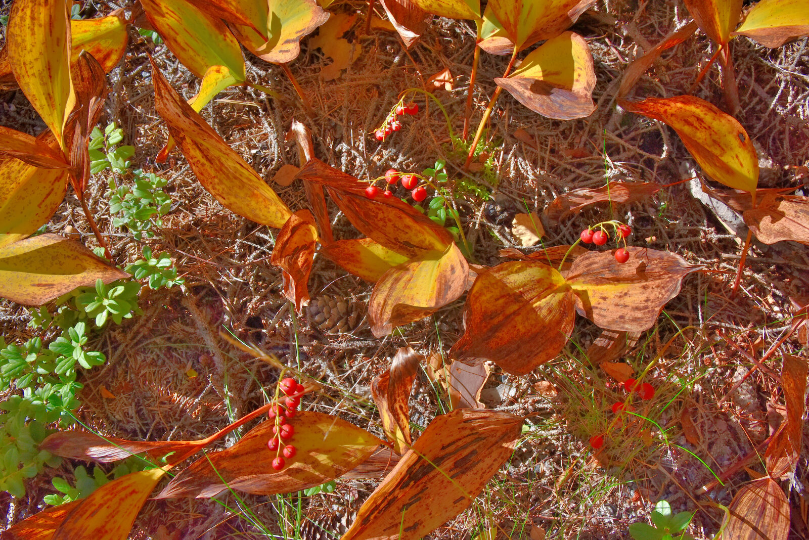 Valokuvaaja: Reijo Juurinen