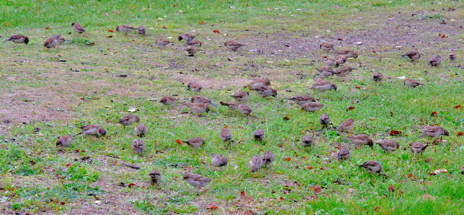 Valokuvaaja: Reijo Juurinen