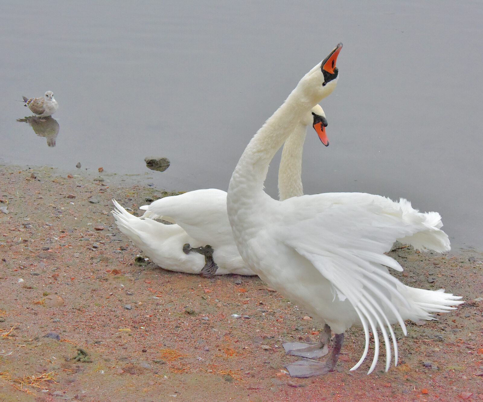 Valokuvaaja: Reijo Juurinen