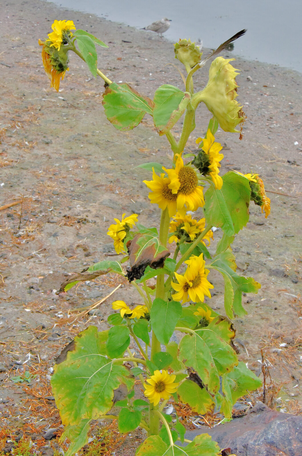 Valokuvaaja: Reijo Juurinen