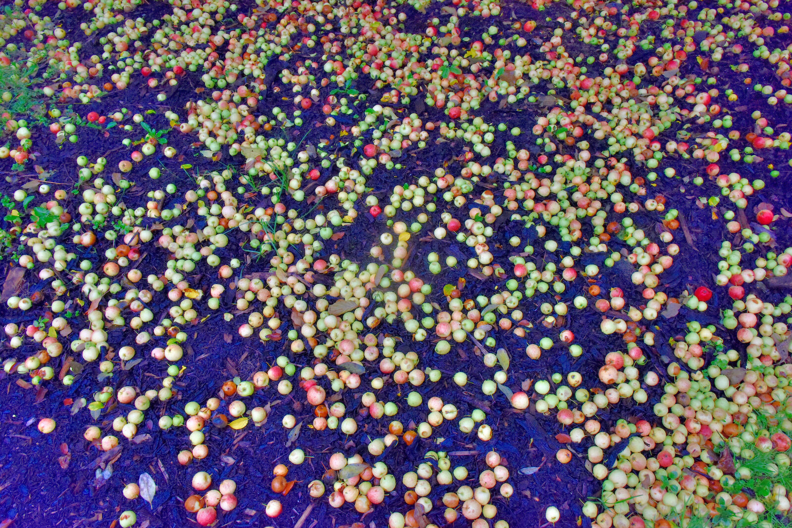 Valokuvaaja: Reijo Juurinen