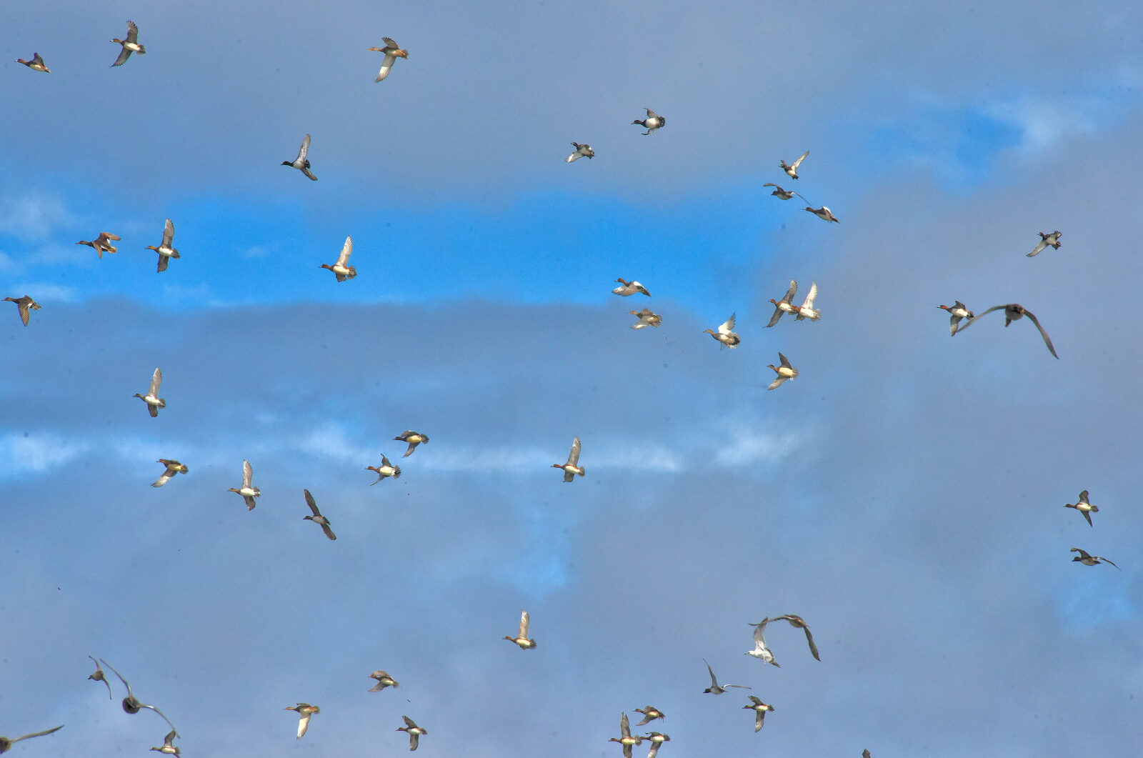 Valokuvaaja: Reijo Juurinen