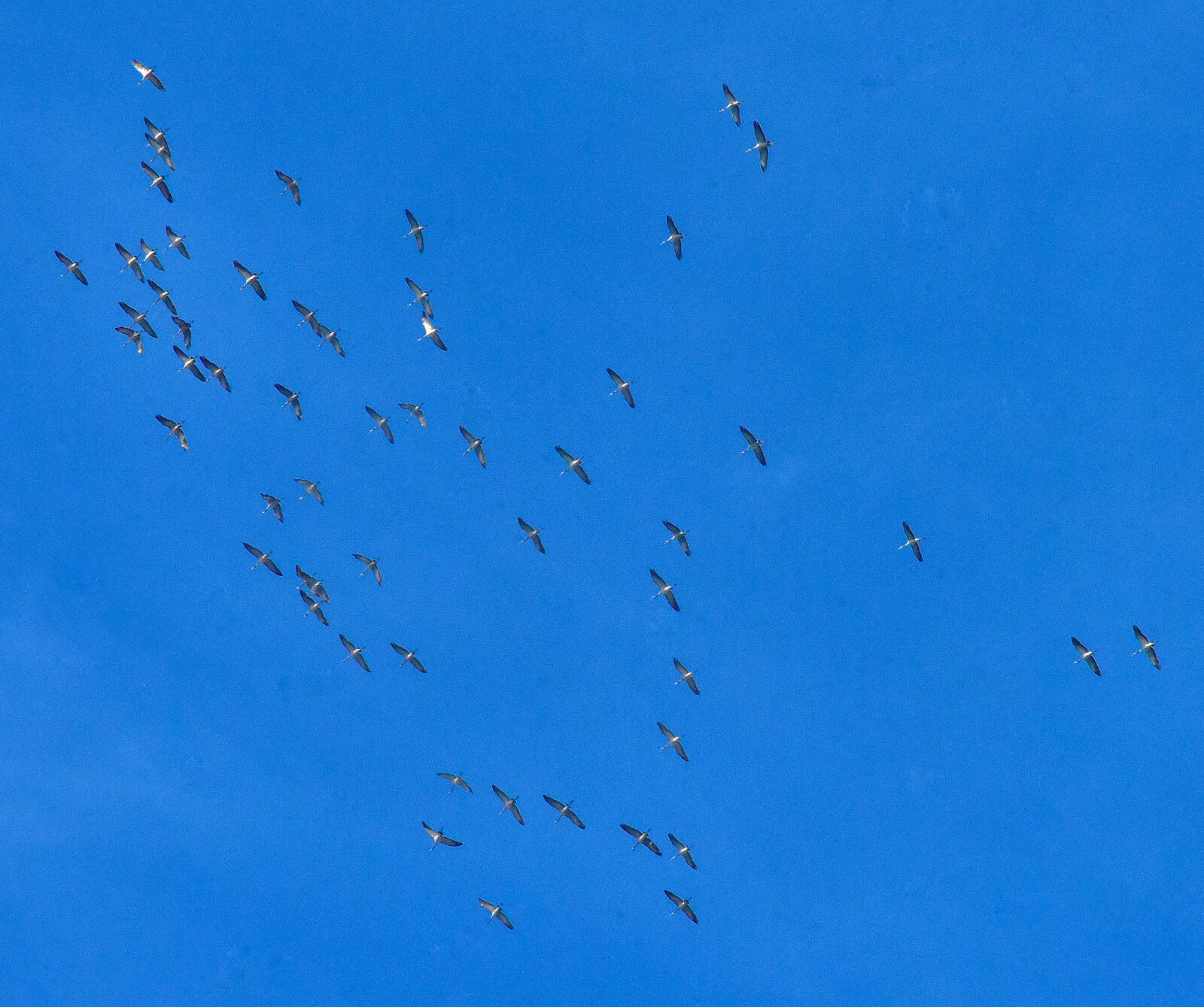 Valokuvaaja: Reijo Juurinen