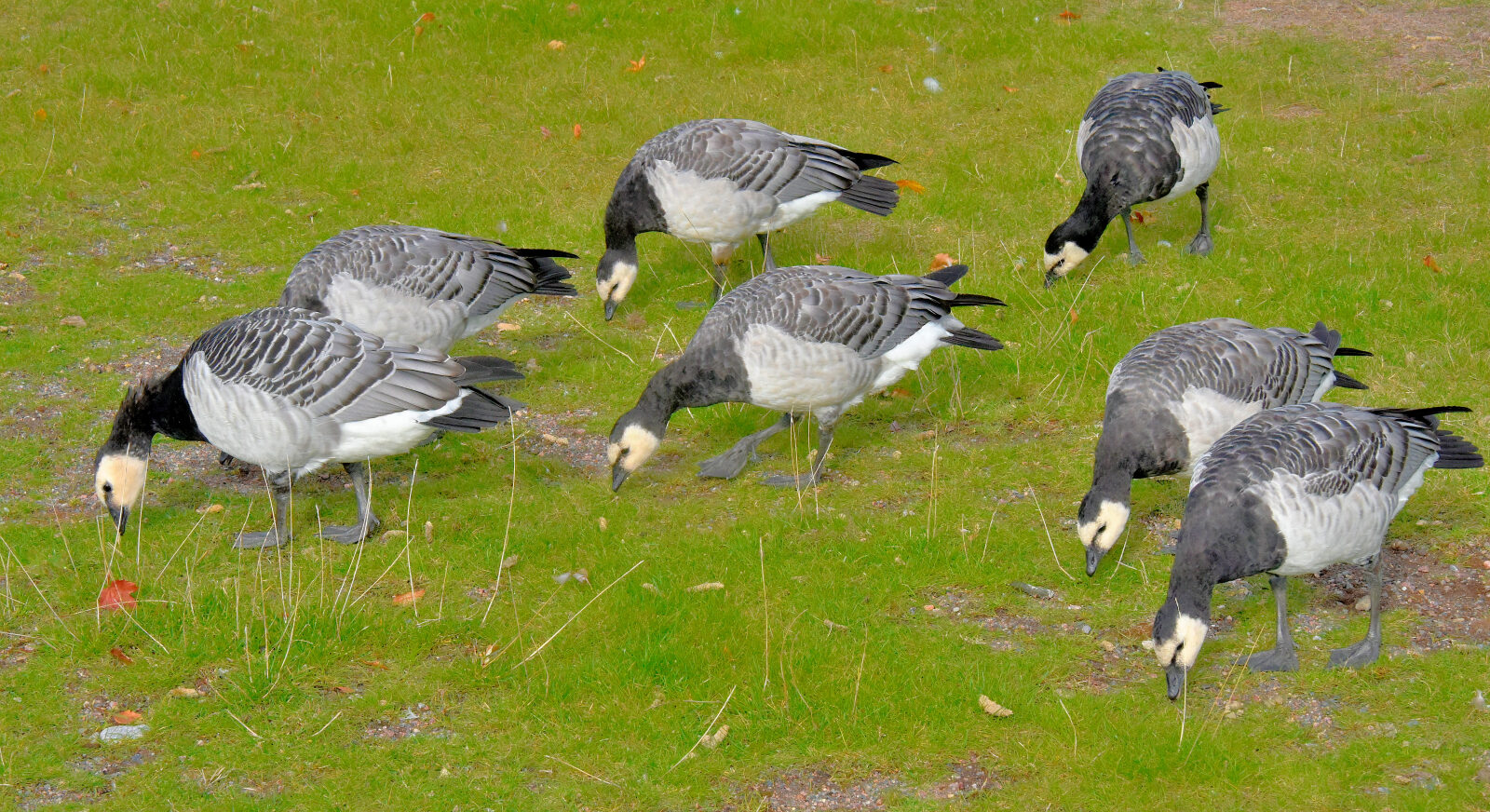 Valokuvaaja: Reijo Juurinen Valokuvaaja: Reijo Juurinen