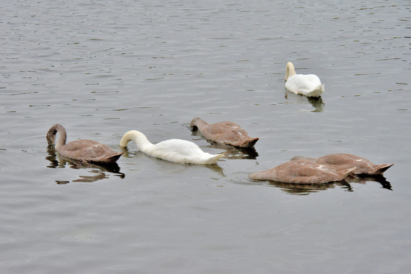 Valokuvaaja: Reijo Juurinen