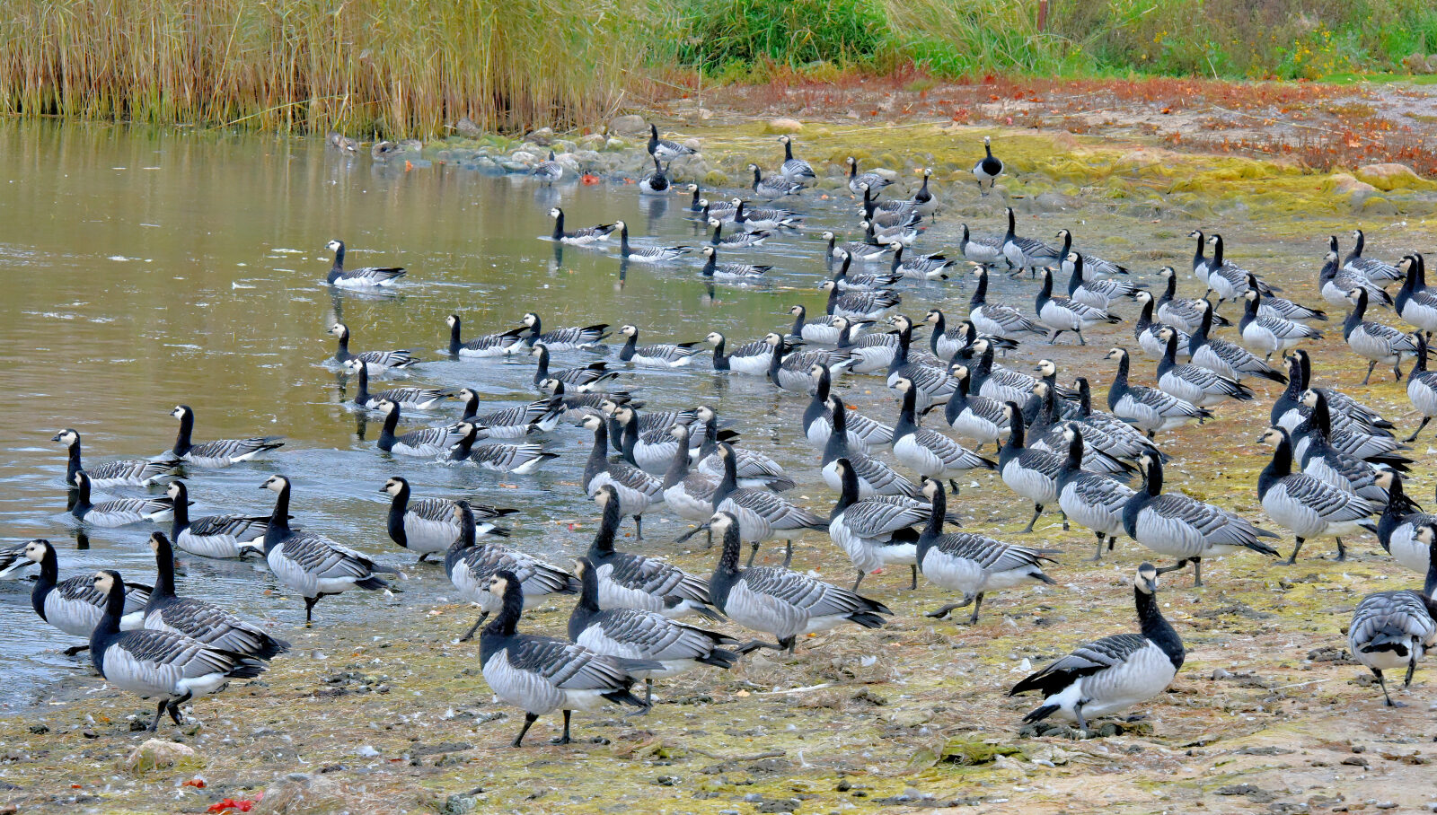 Valokuvaaja: Reijo Juurinen
