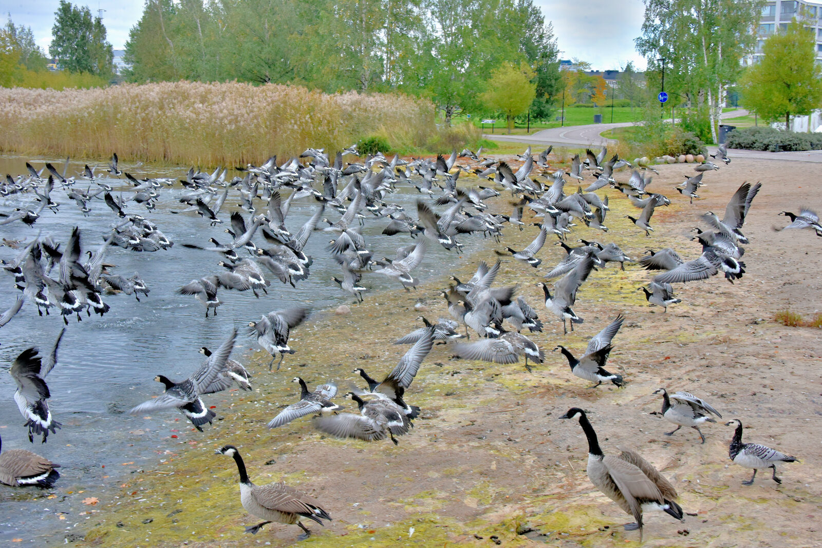 Valokuvaaja: Reijo Juurinen