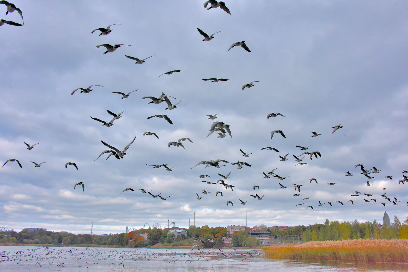 Valokuvaaja: Reijo Juurinen