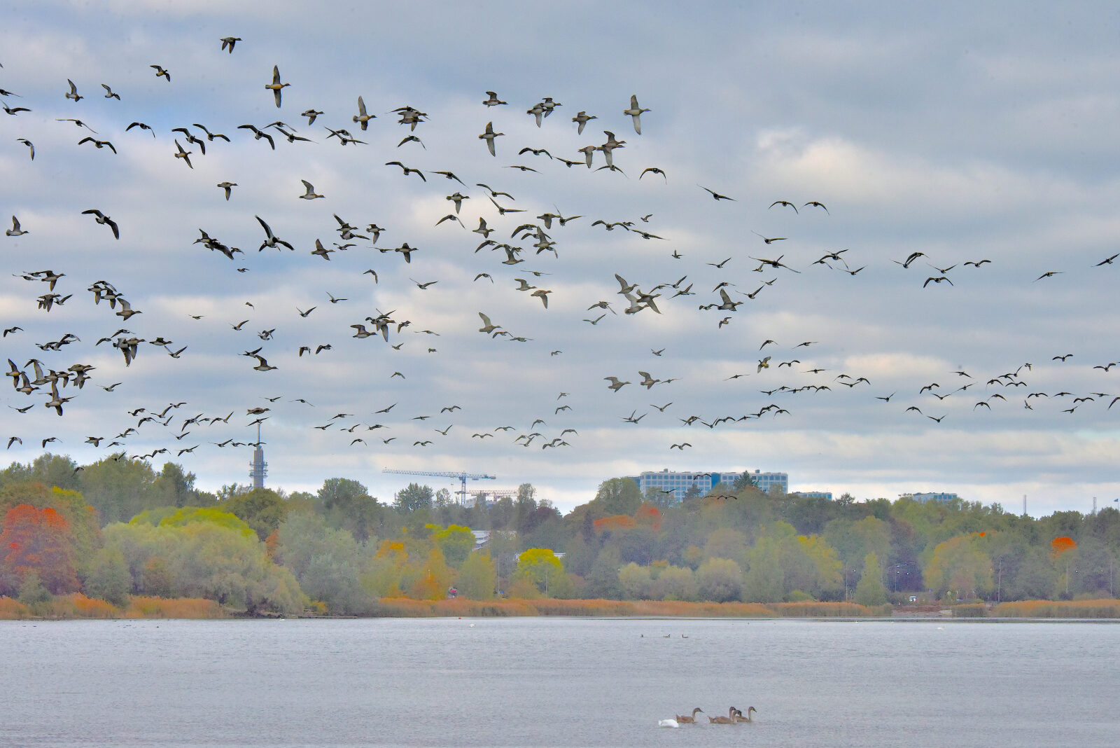 Valokuvaaja: Reijo Juurinen