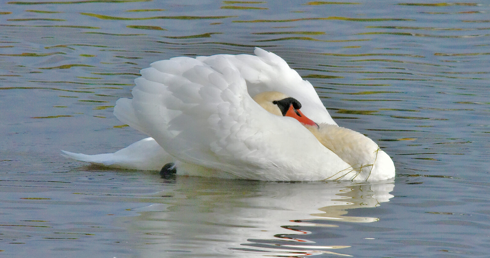 Valokuvaaja: Reijo Juurinen