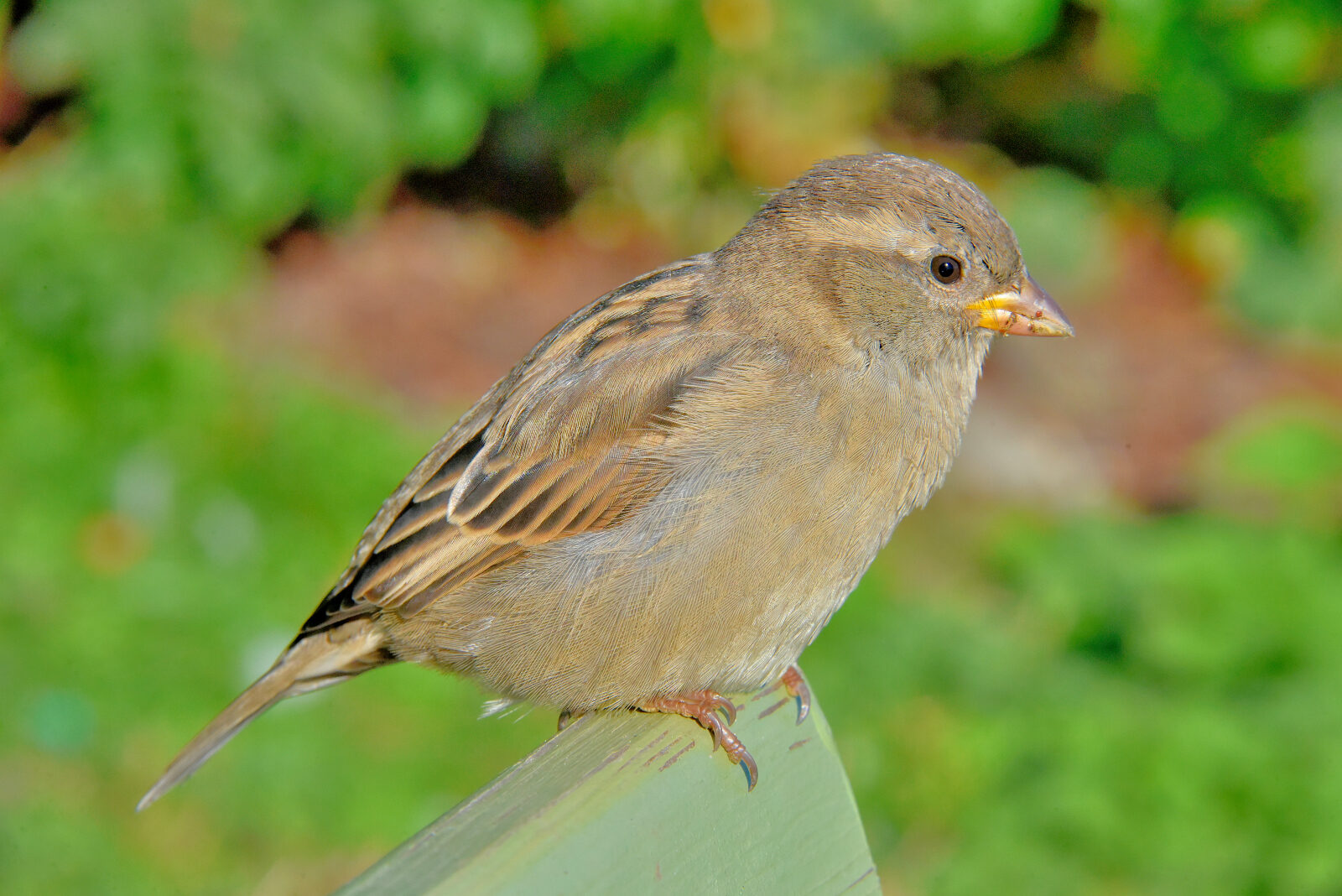 Valokuvaaja: Reijo Juurinen