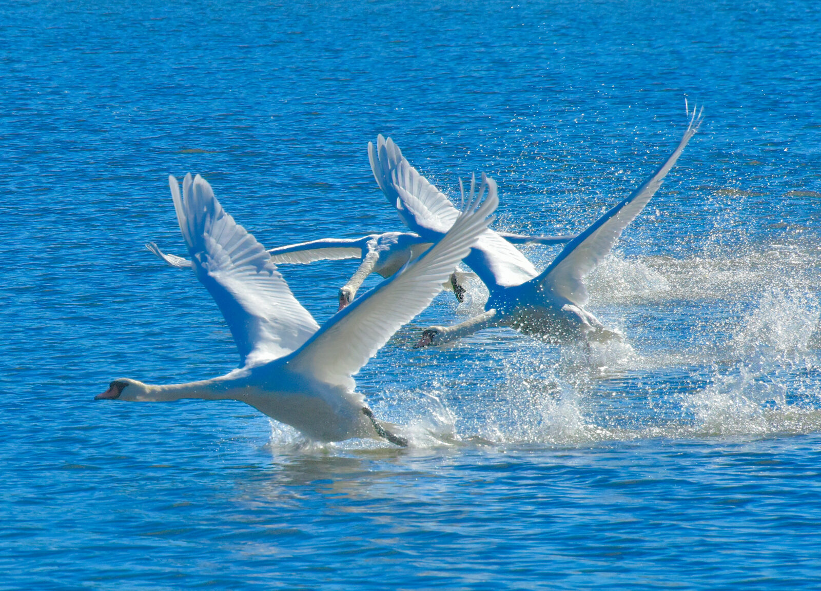 Valokuvaaja: Reijo Juurinen