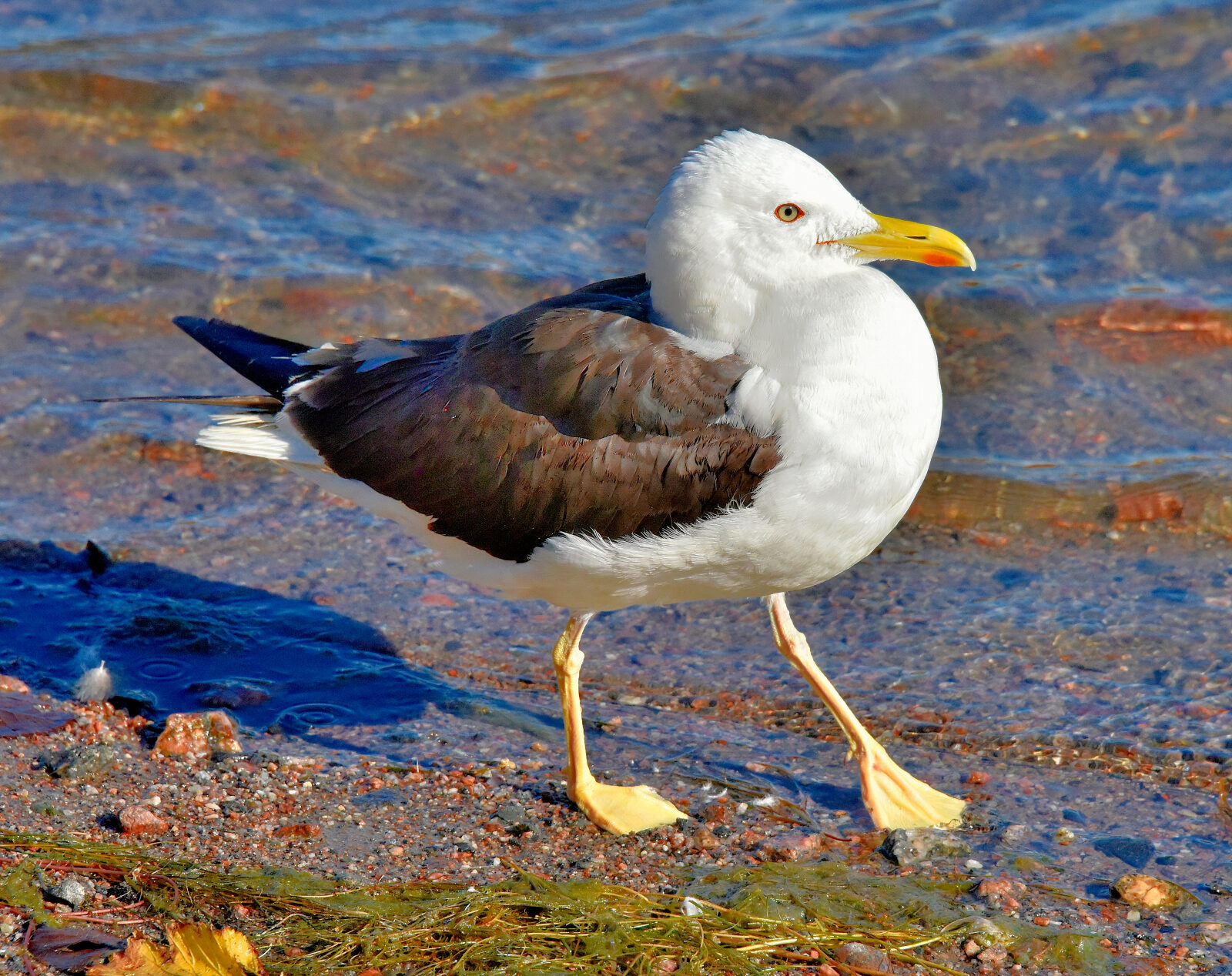 Valokuvaaja: Reijo Juurinen