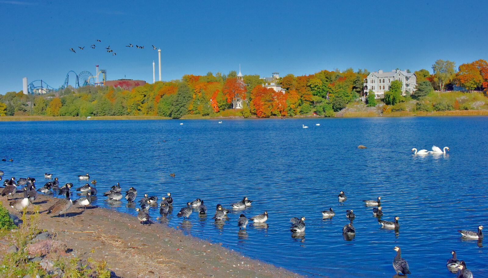 Valokuvaaja: Reijo Juurinen