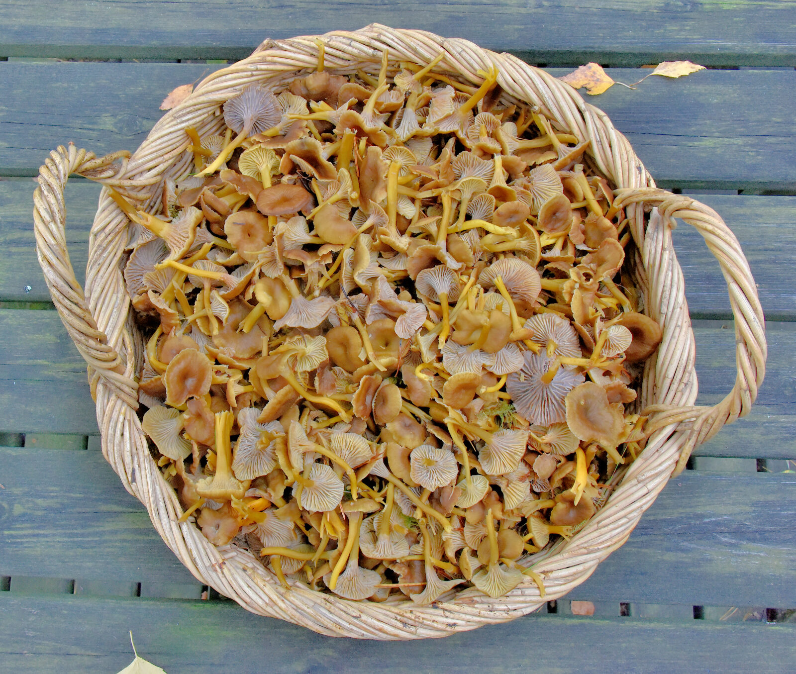 Valokuvaaja: Reijo Juurinen