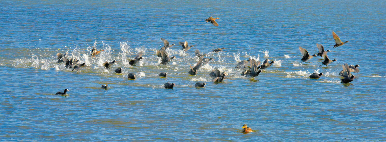 Valokuvaaja: Reijo Juurinen