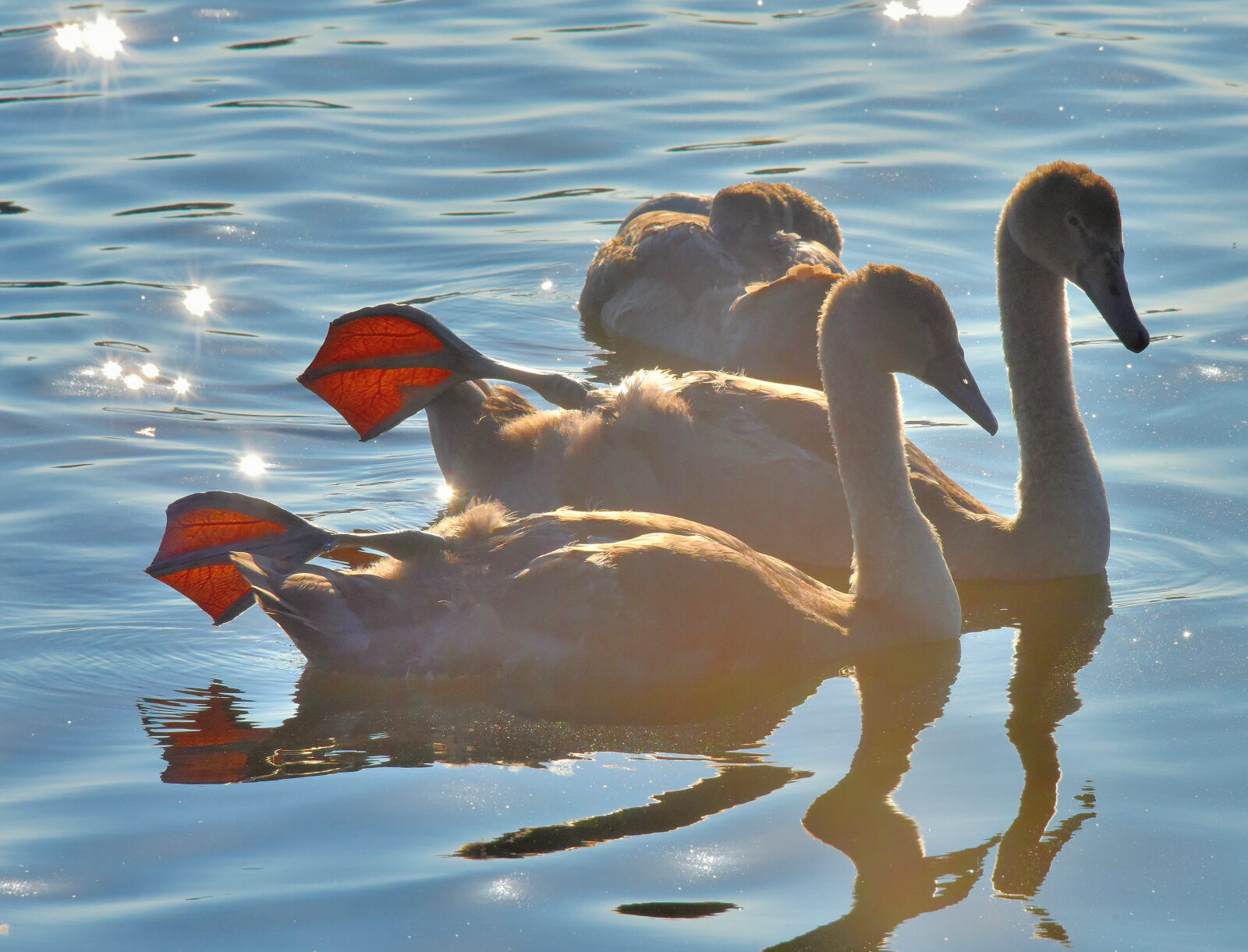 Valokuvaaja: Reijo Juurinen