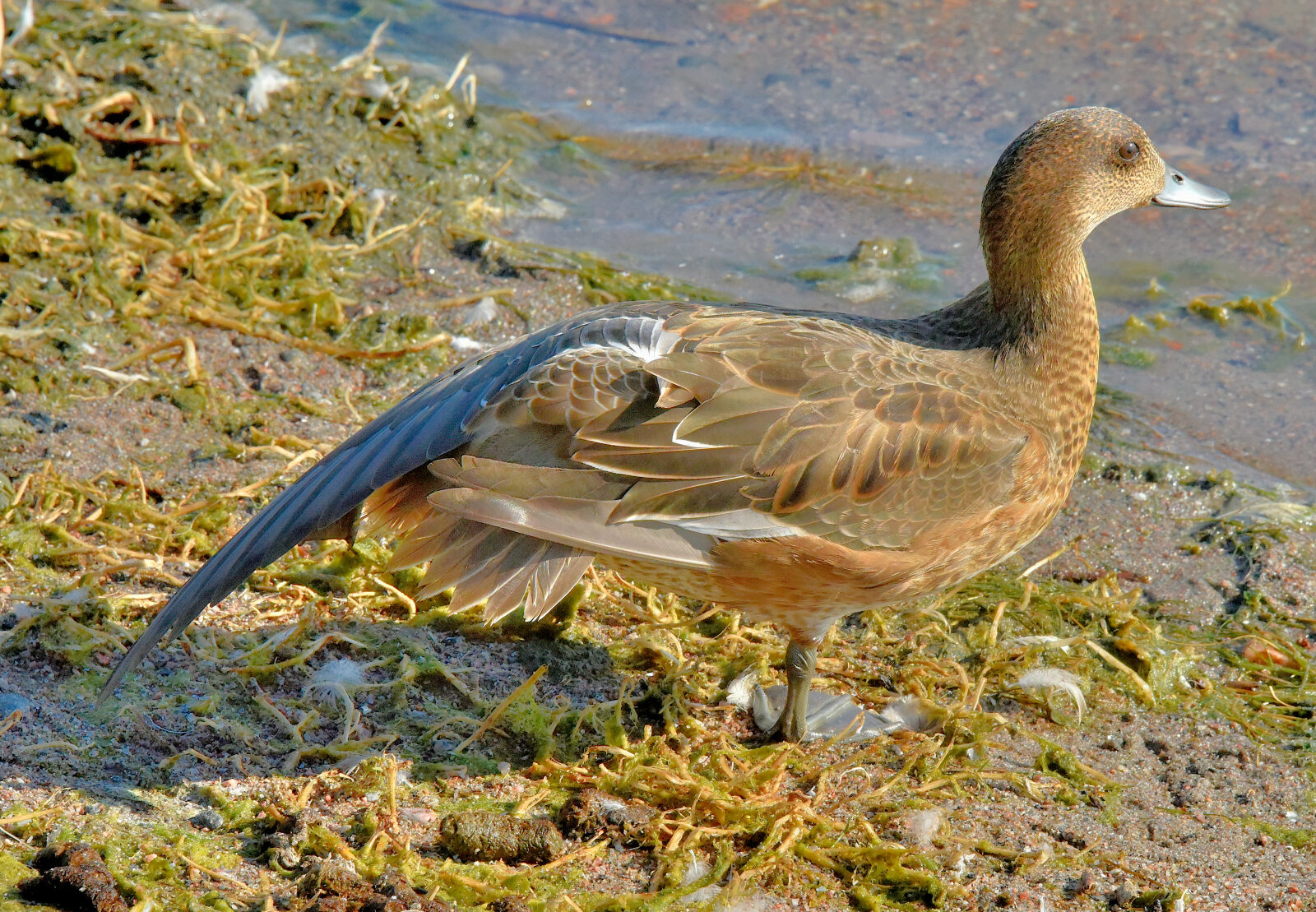 Valokuvaaja: Reijo Juurinen