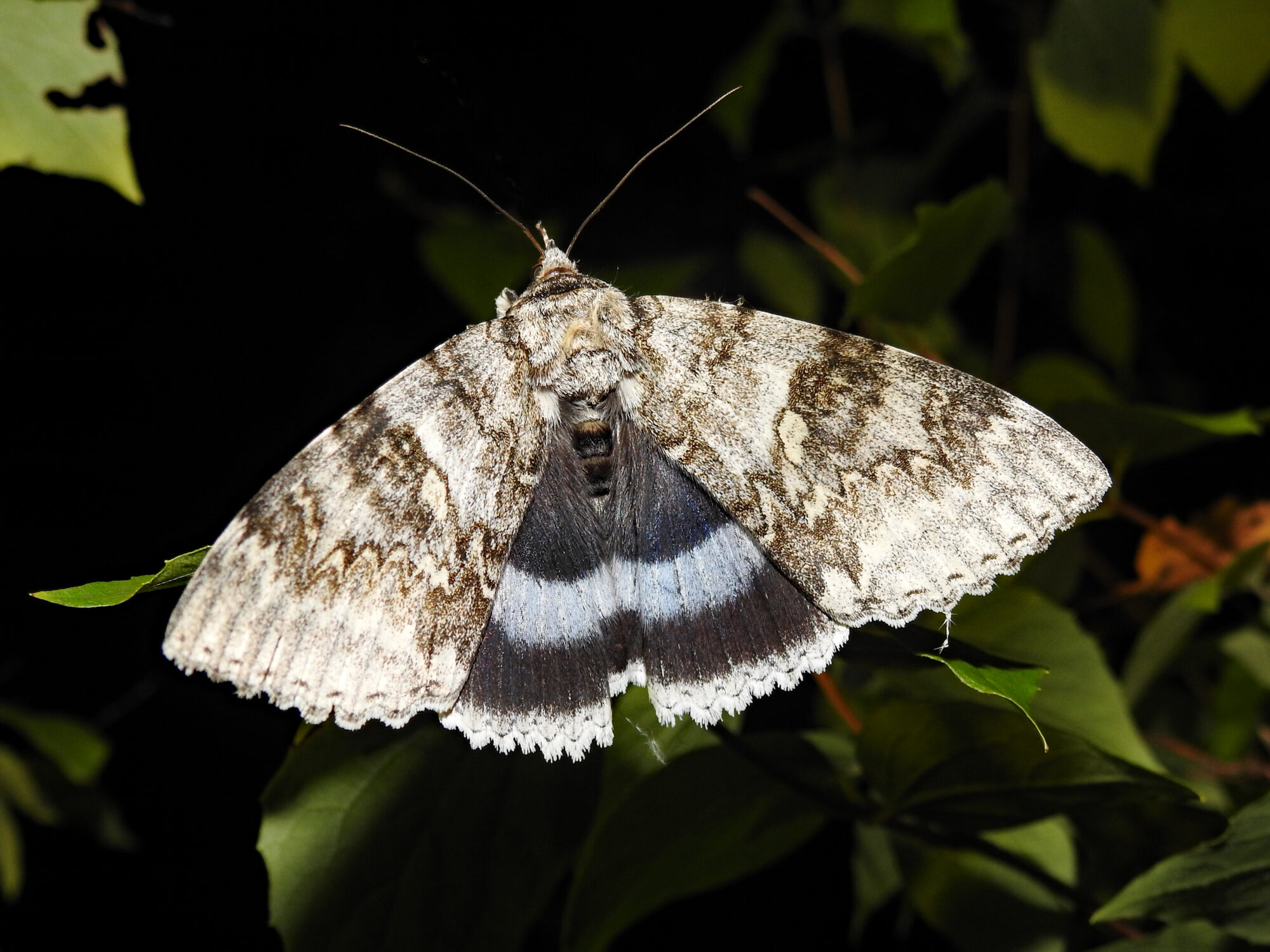 Valokuvaaja: Paavo Siukonen