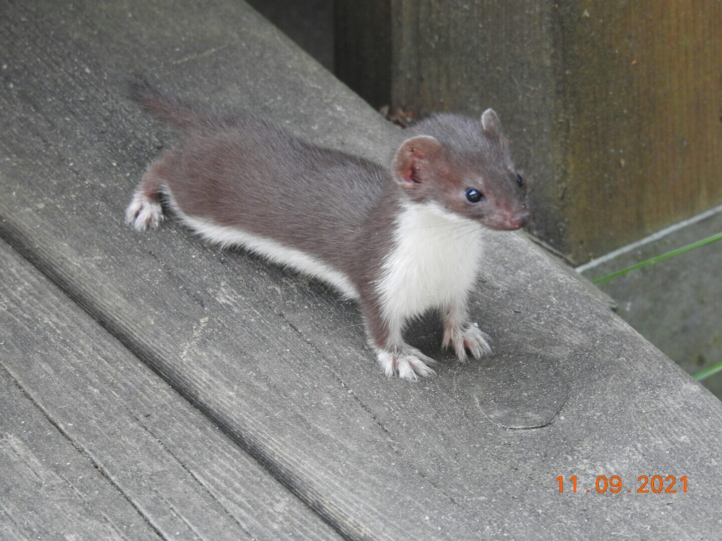Valokuvaaja: Jarmo Mantere