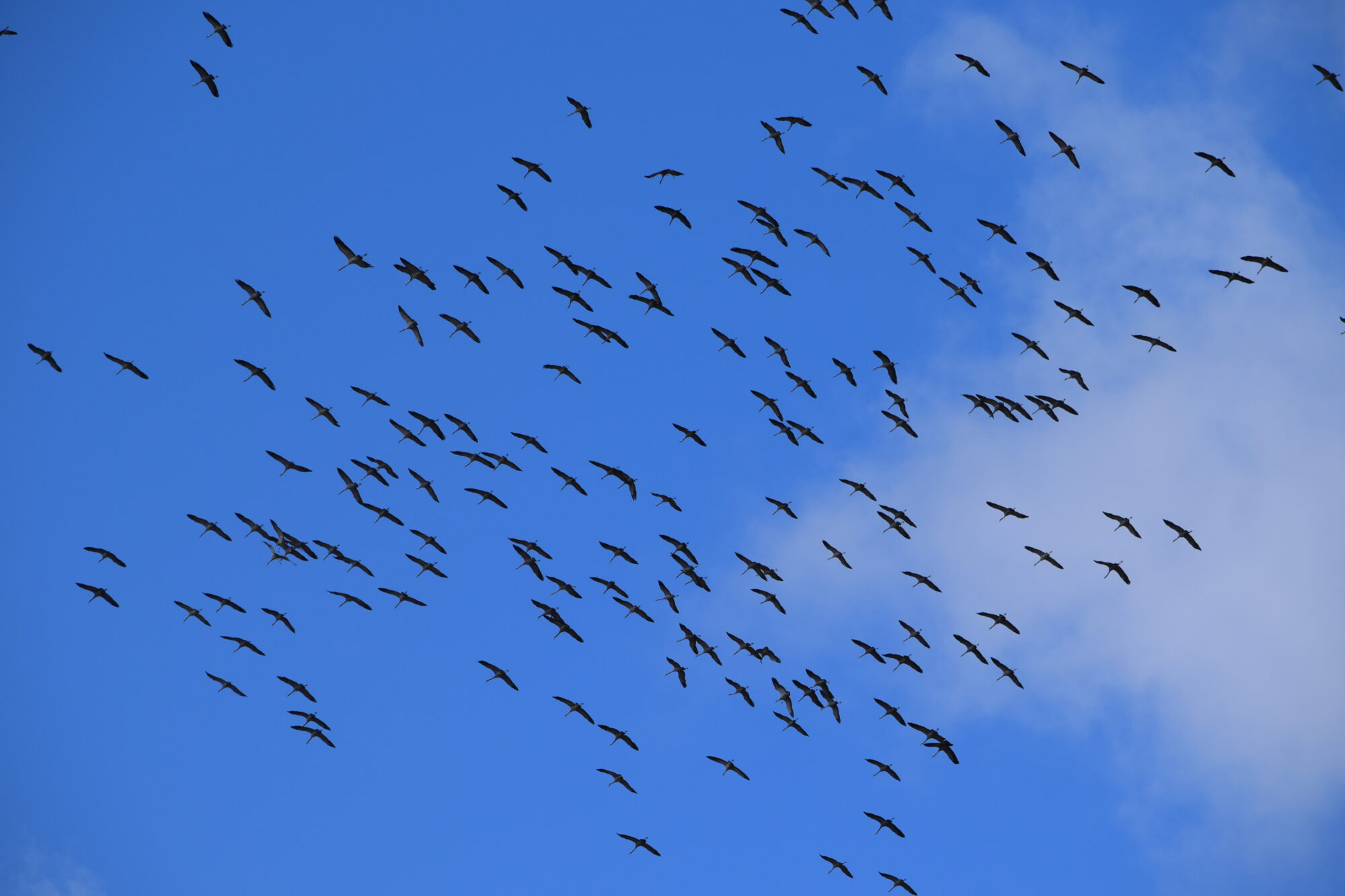 Valokuvaaja: Riitta  Marjamäki