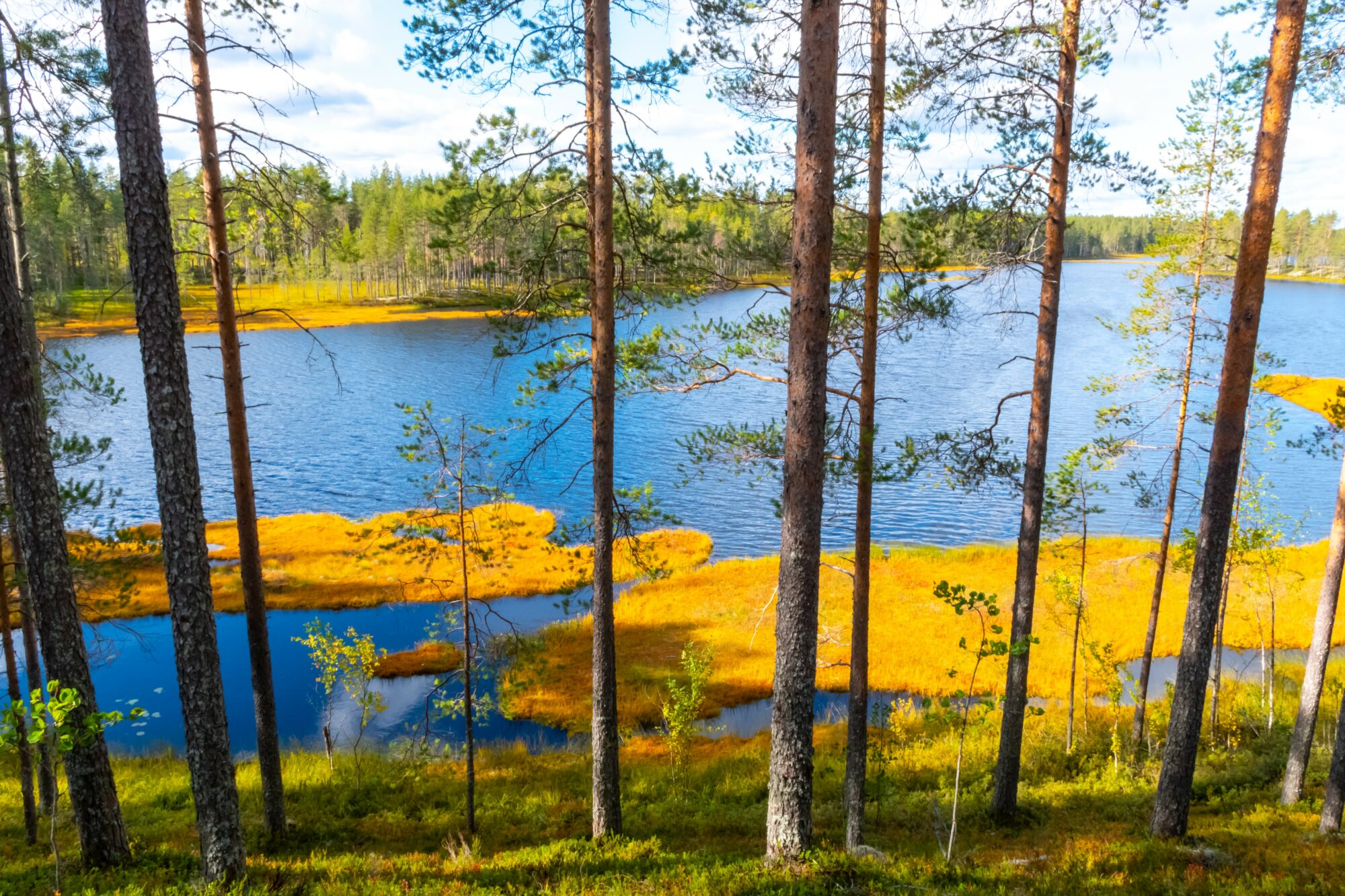 Valokuvaaja: Leena Rissanen
