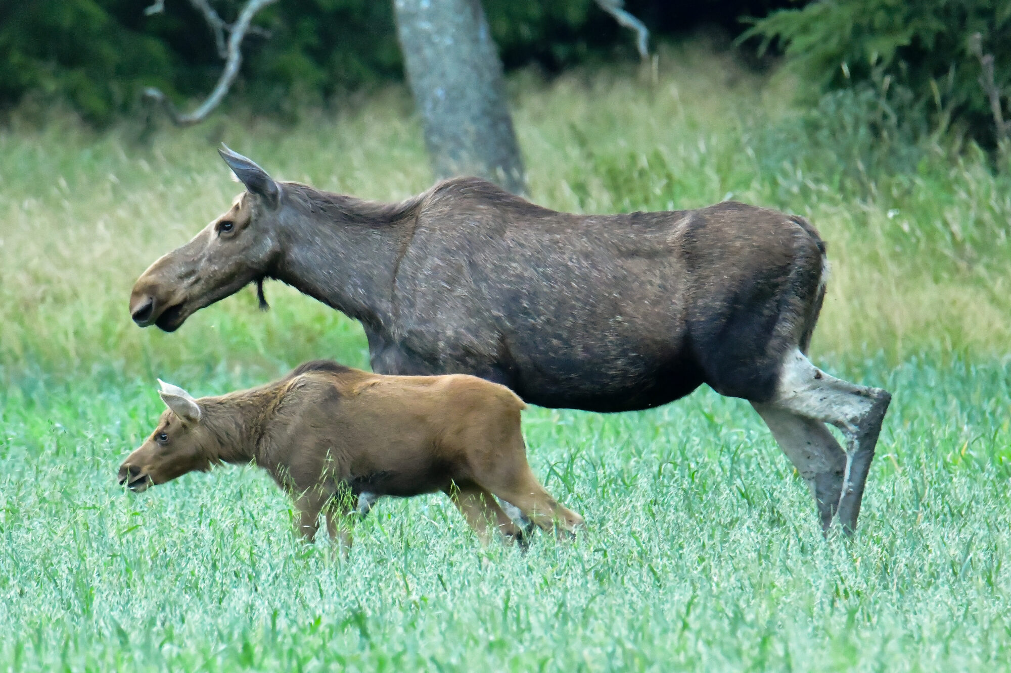 Valokuvaaja: Milja Pakkala